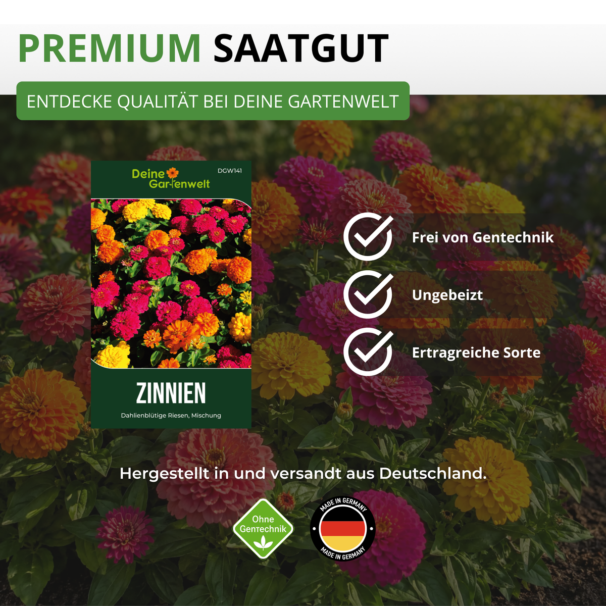 Zinnie Dahlienblütige Mischung Saatgut