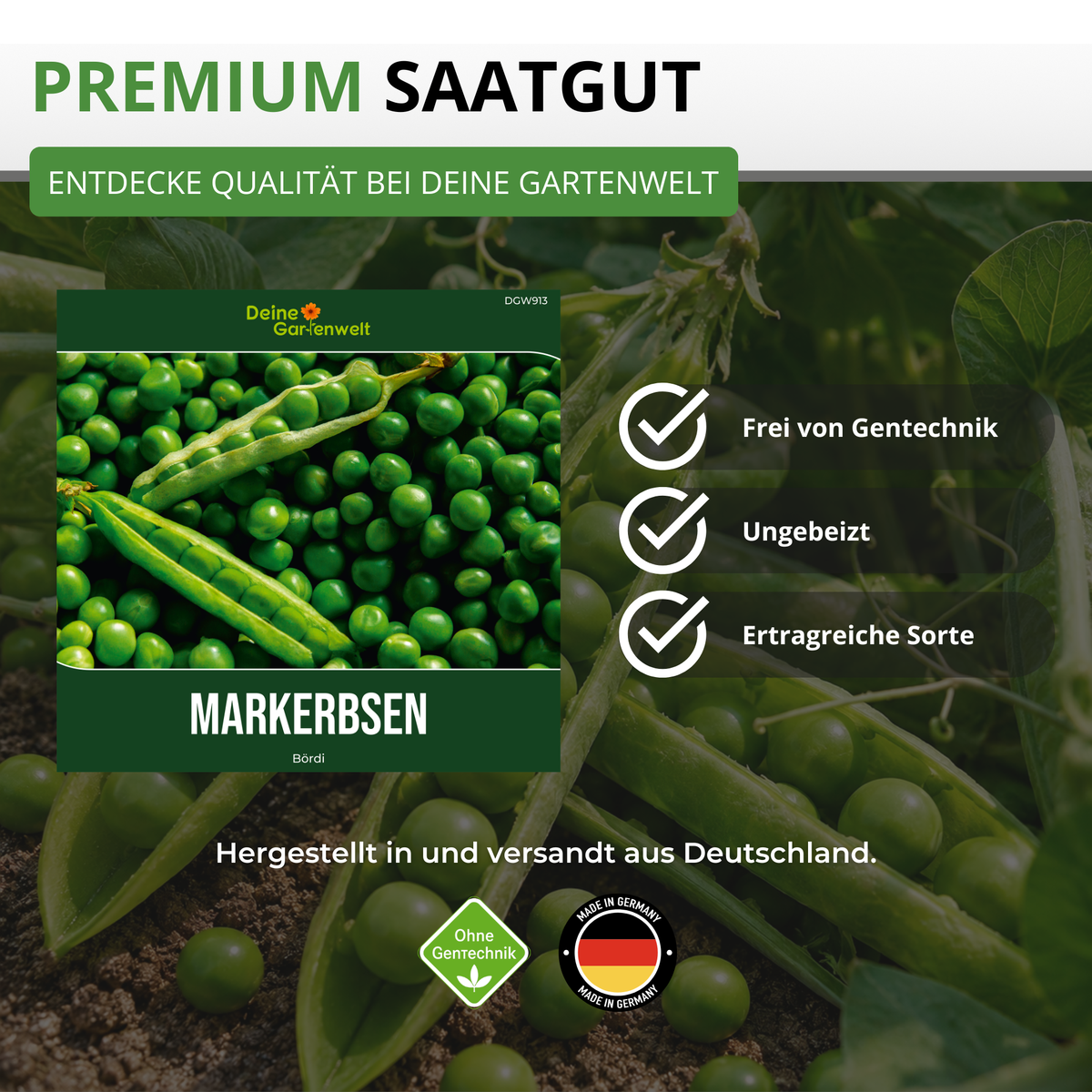Markerbse Bördi Saatgut