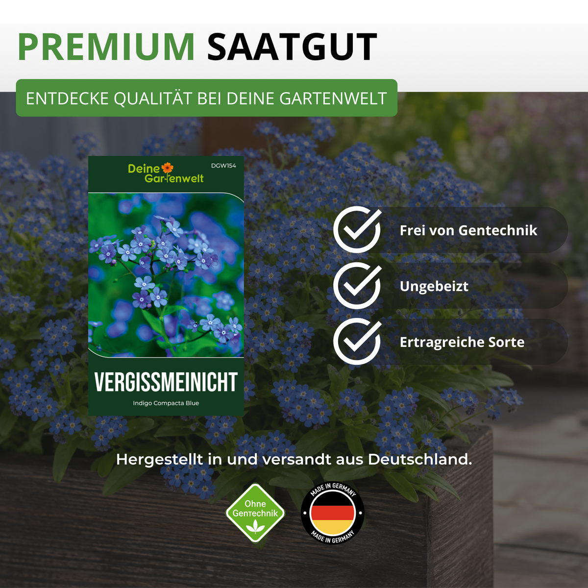 Vergissmeinnicht Indigo Compacta Blue Saatgut