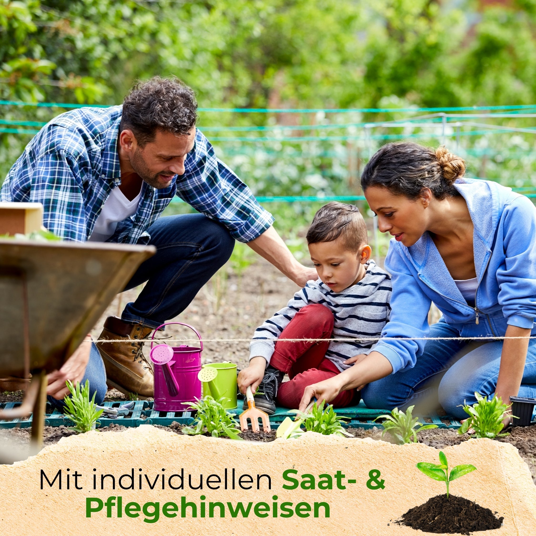 BIO Kräutersamen-Set mit 12 Sorten