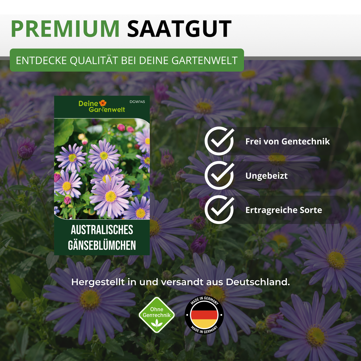 Australisches Gänseblümchen Blau Saatgut