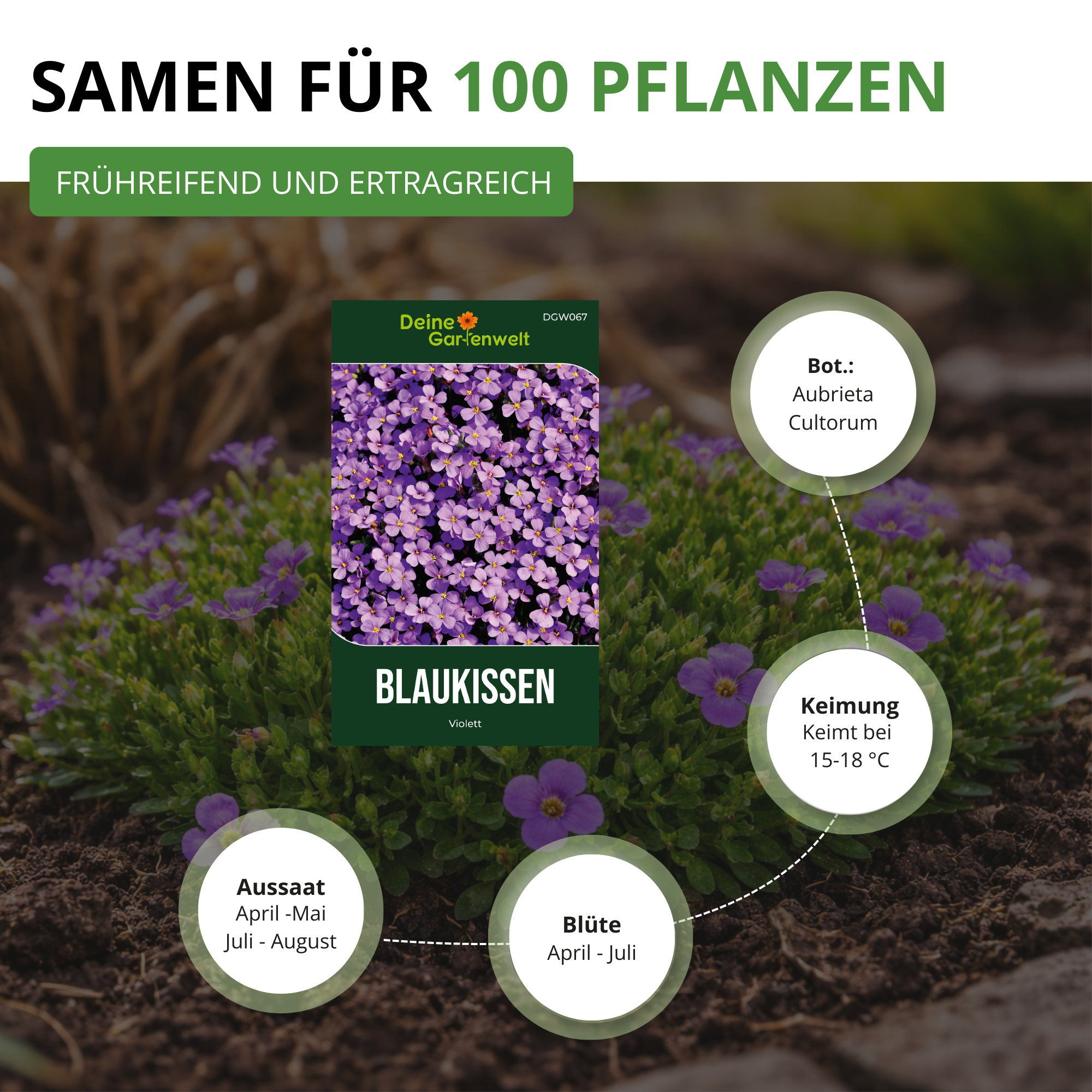 Blaukissen Violett