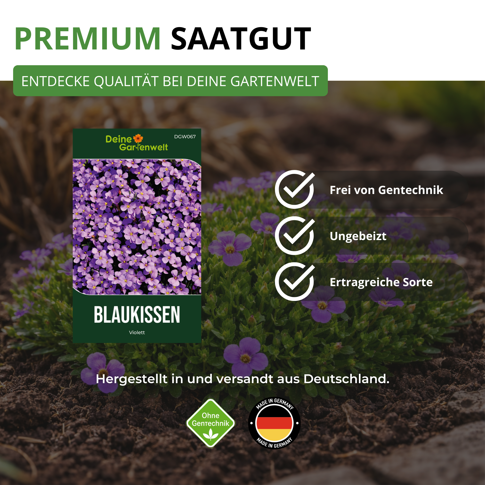 Blaukissen Violett