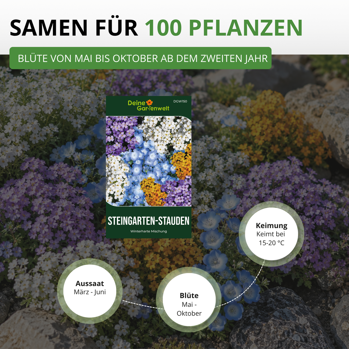 Blumenmischung Steingarten winterharte Stauden Saatgut