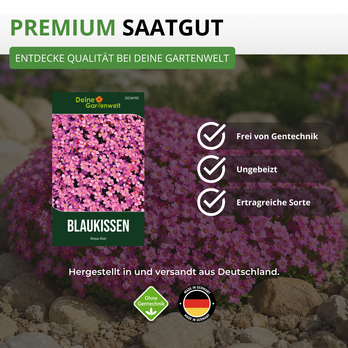 Blaukissen Rosa Rot Saatgut