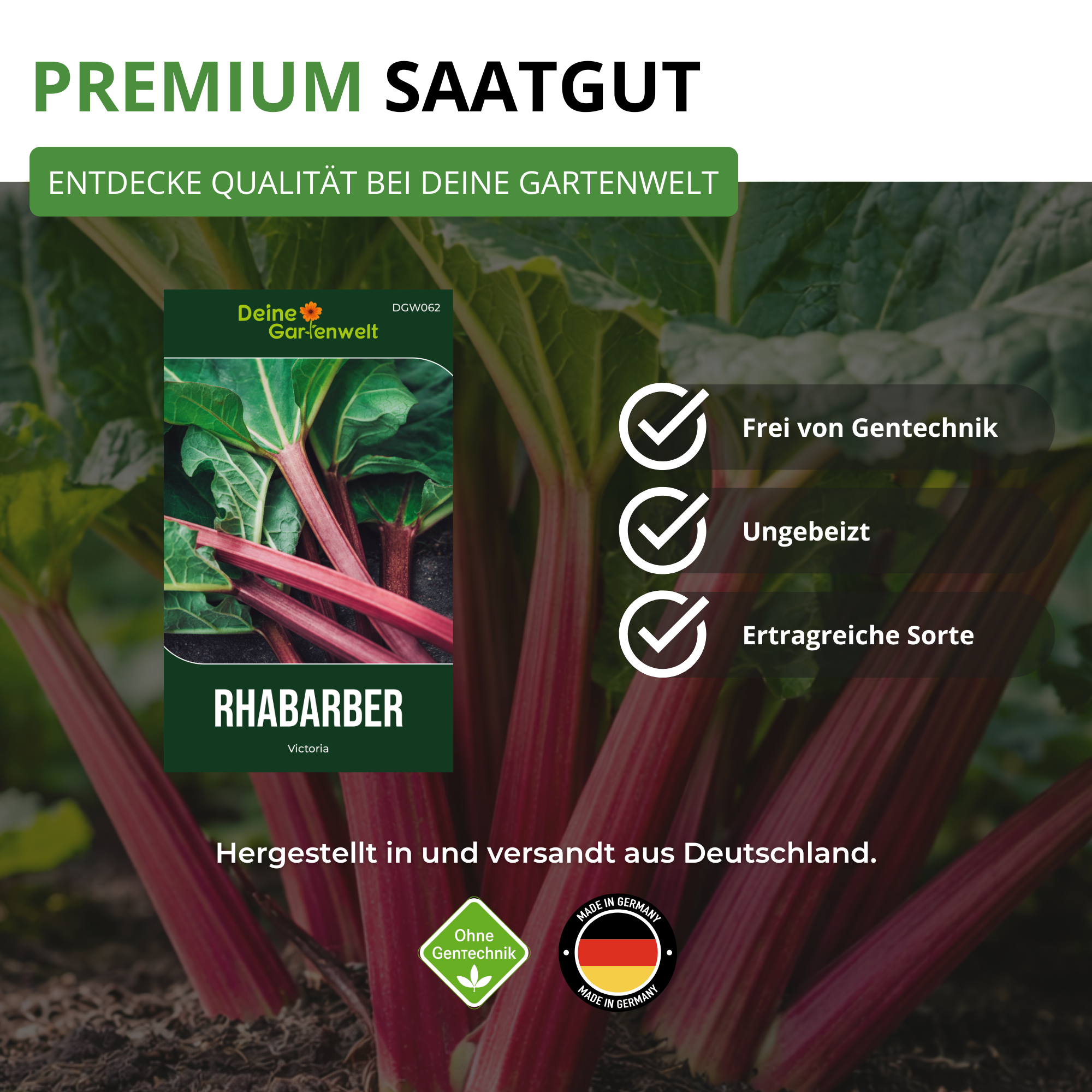 Rhabarber rot