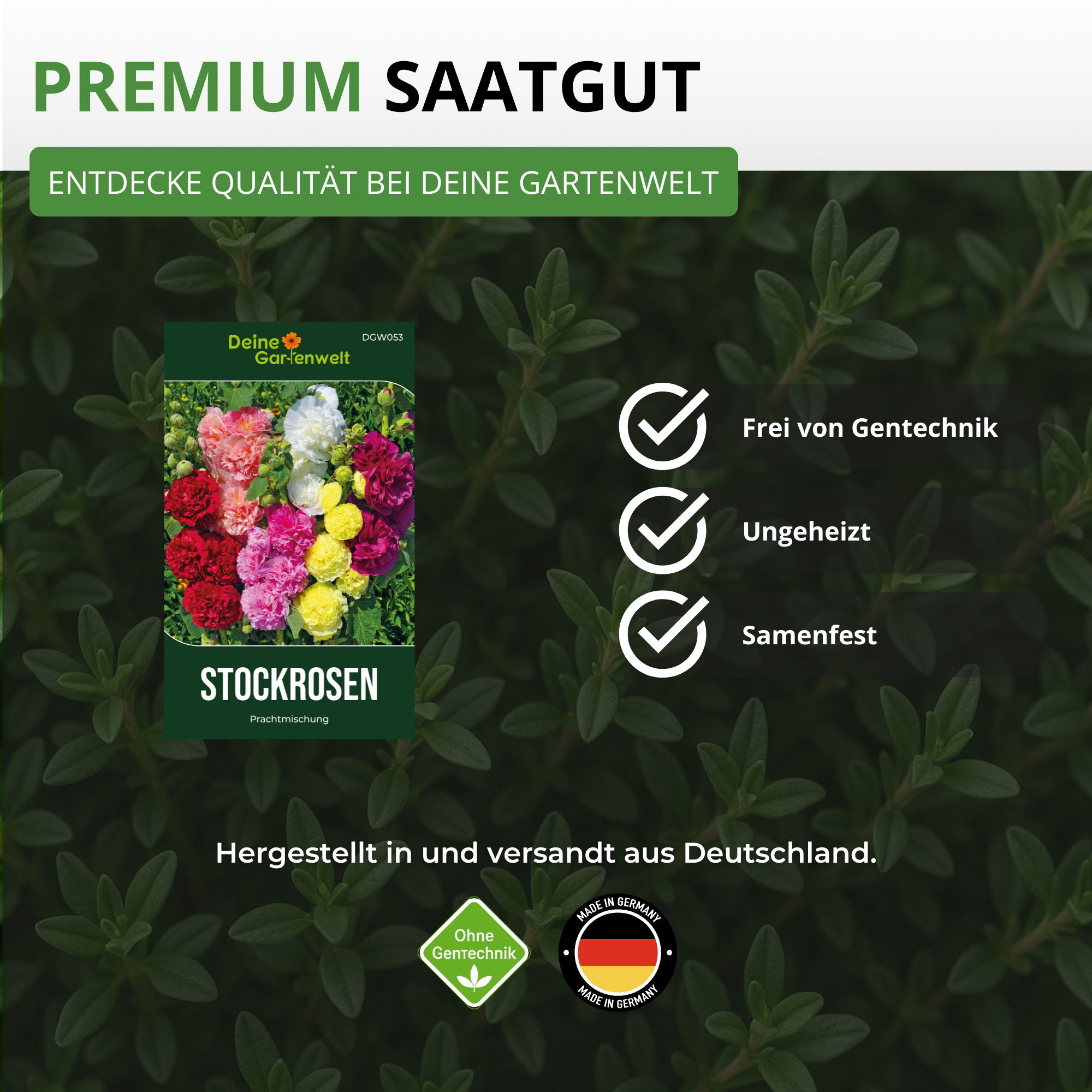 Stockrosen Prachtmischung