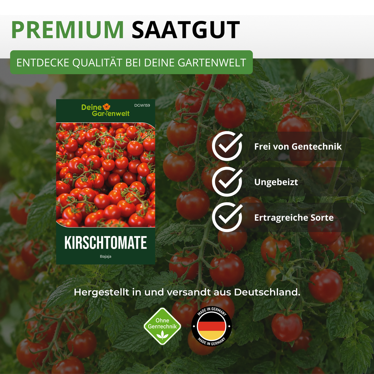 Kirschtomate Bajaja Saatgut