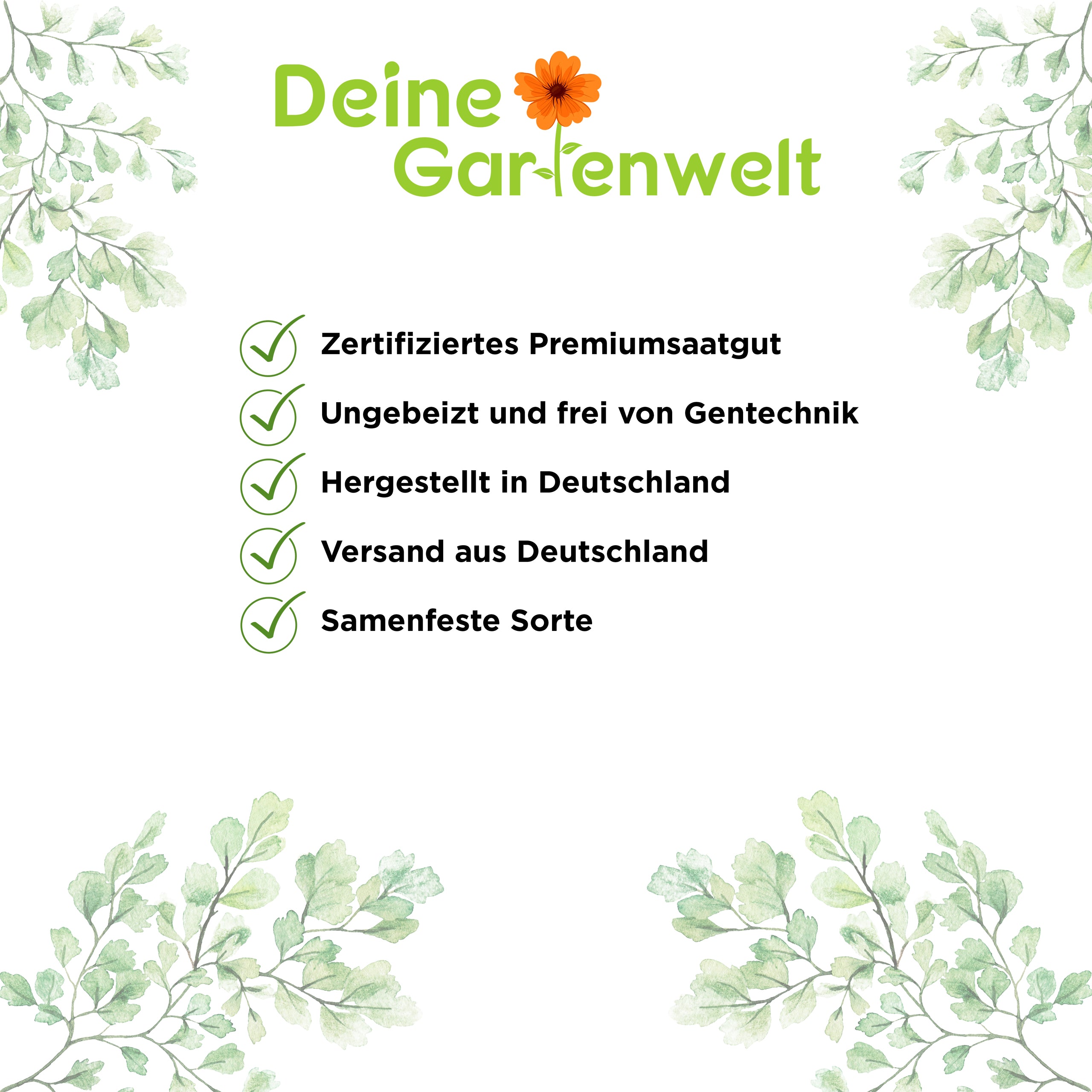 Türkischer Mohn