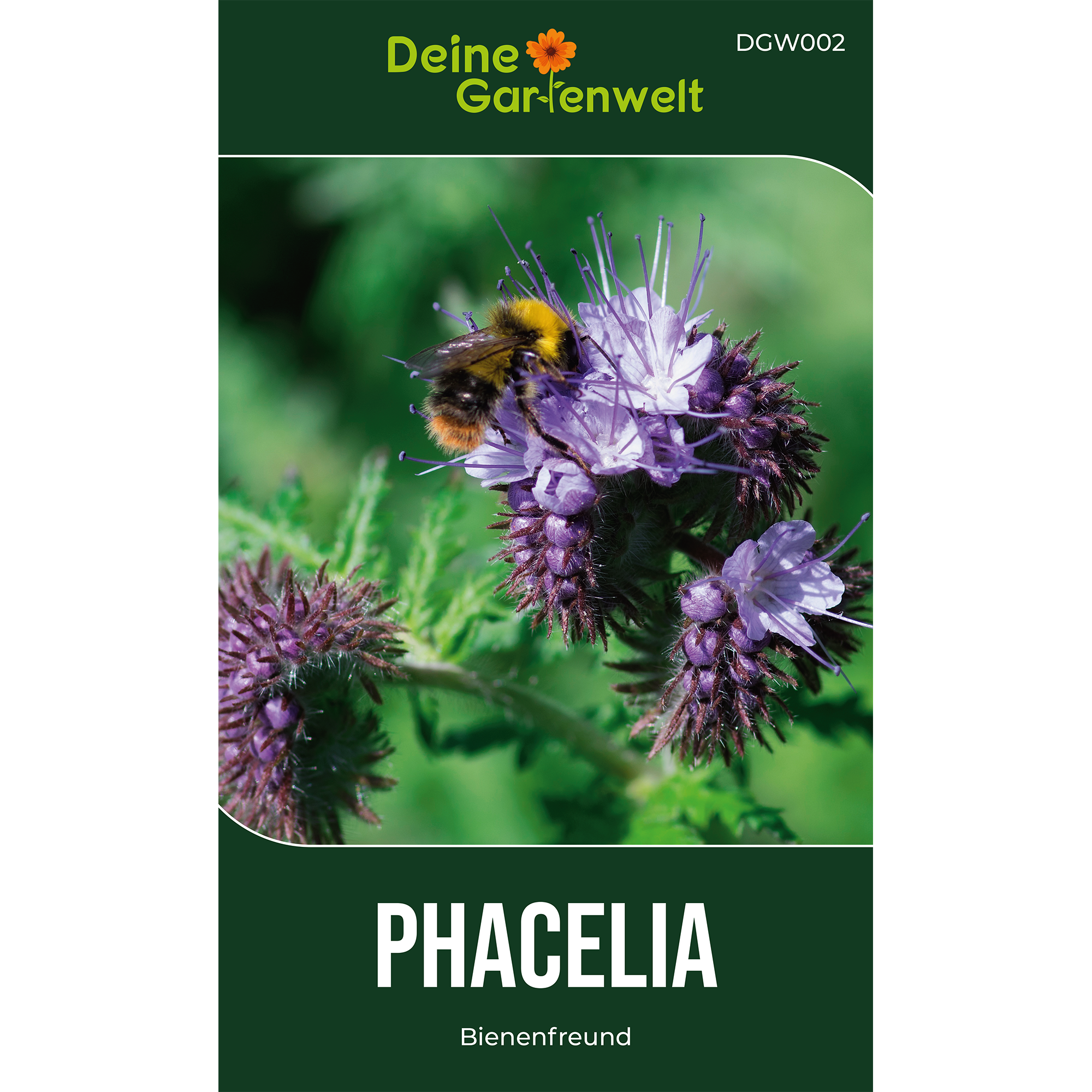 Phacelia Bienenfreund