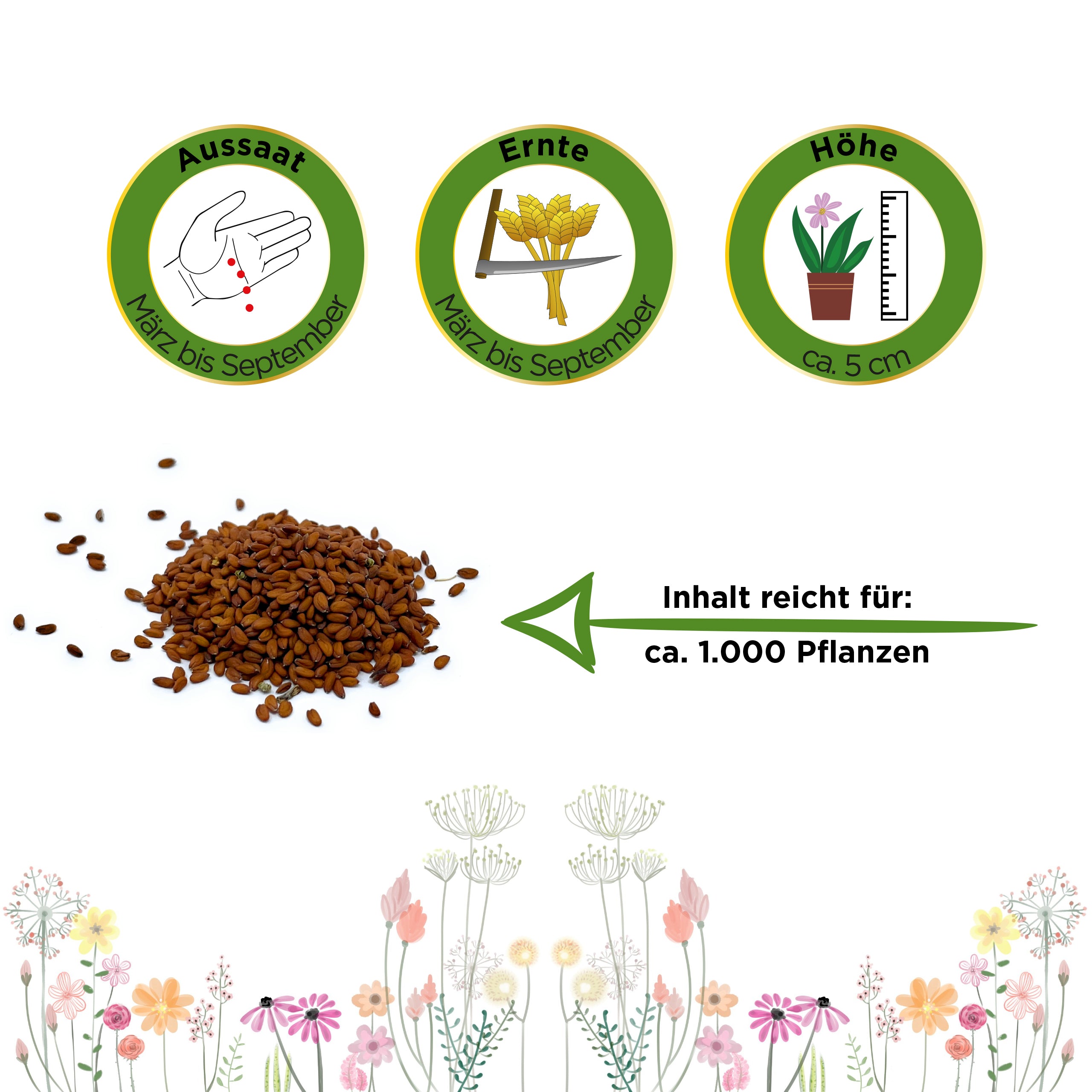 Gartenkresse Einfache Grüne