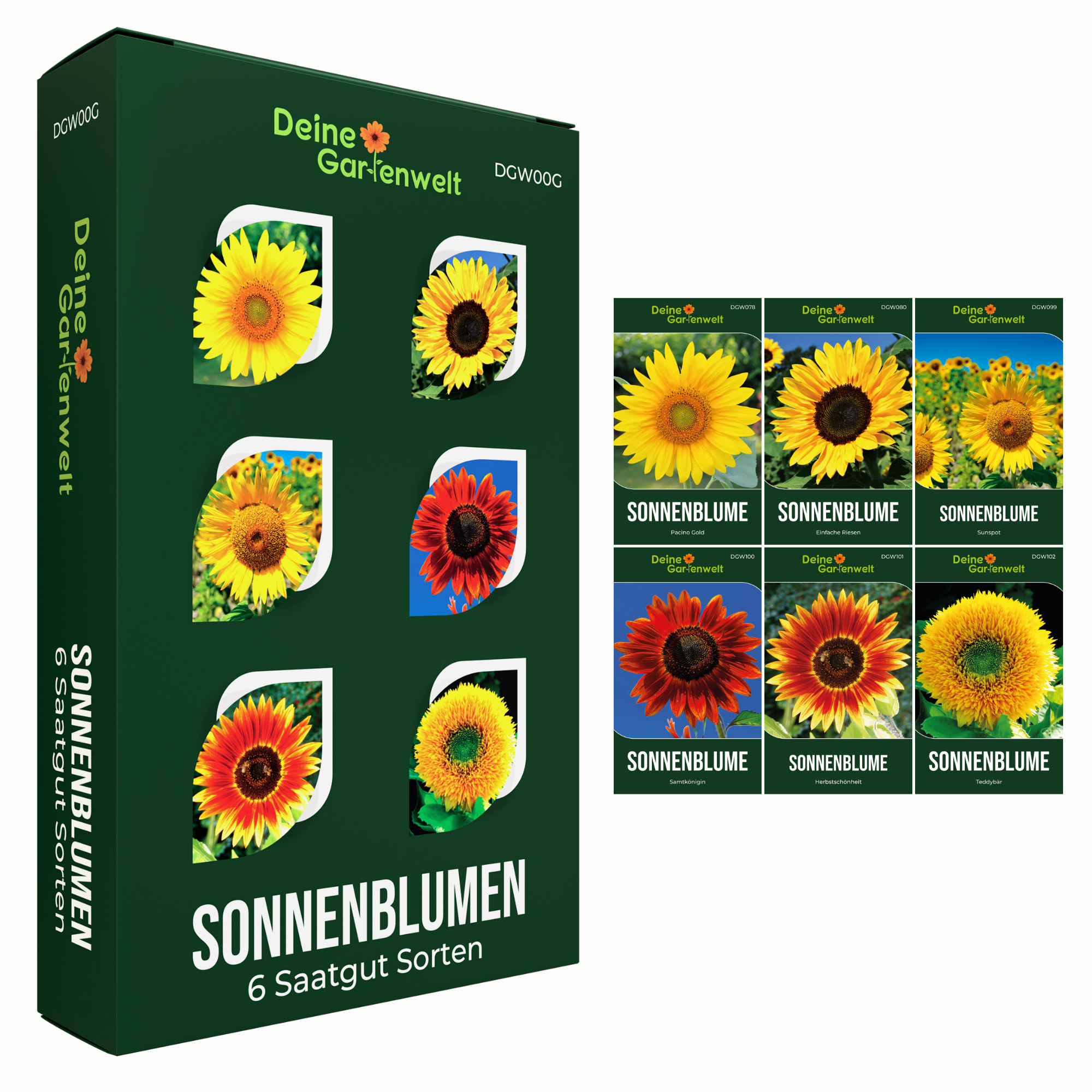Sonnenblumensamen-Set mit 6 Sorten