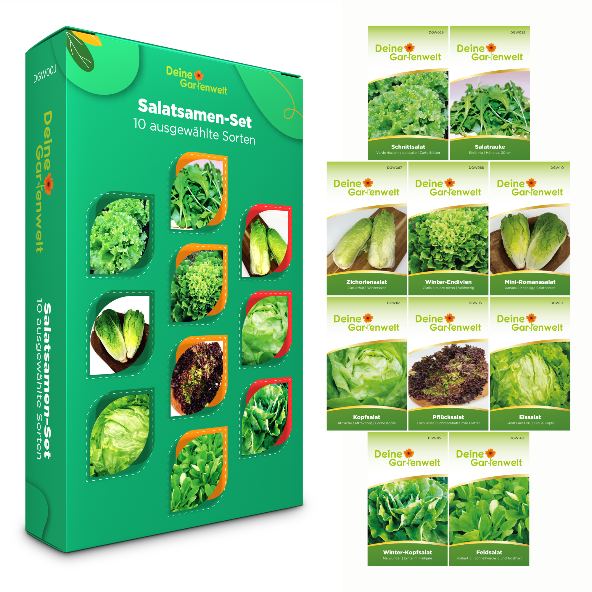 Salatsamen-Set mit 10 Sorten