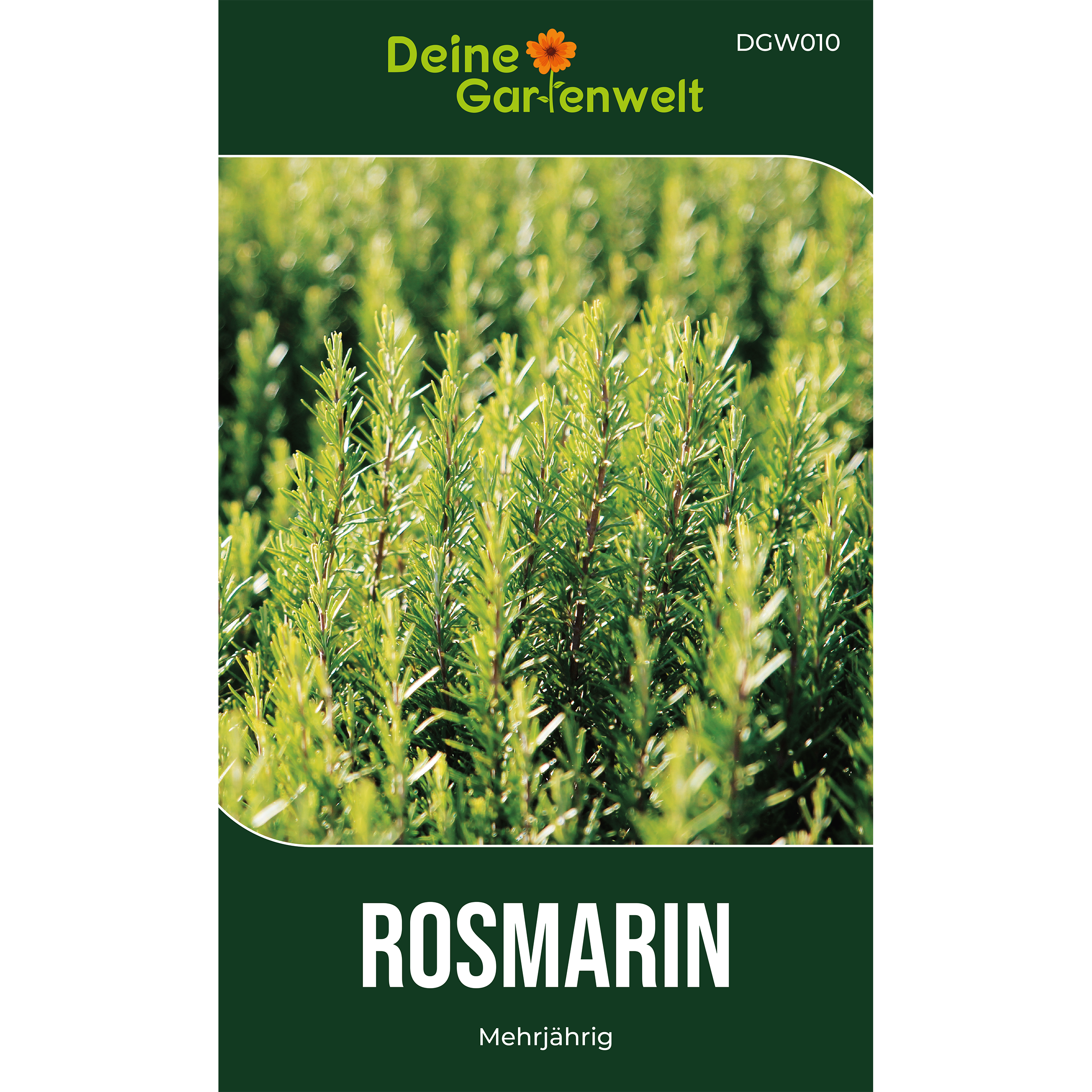 Rosmarin