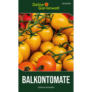 Balkontomate gelb Cereza Amarilla