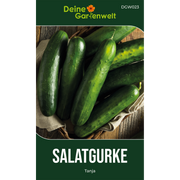 Salatgurke Tanja