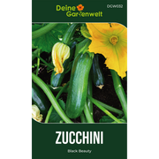 Zucchini Black Beauty