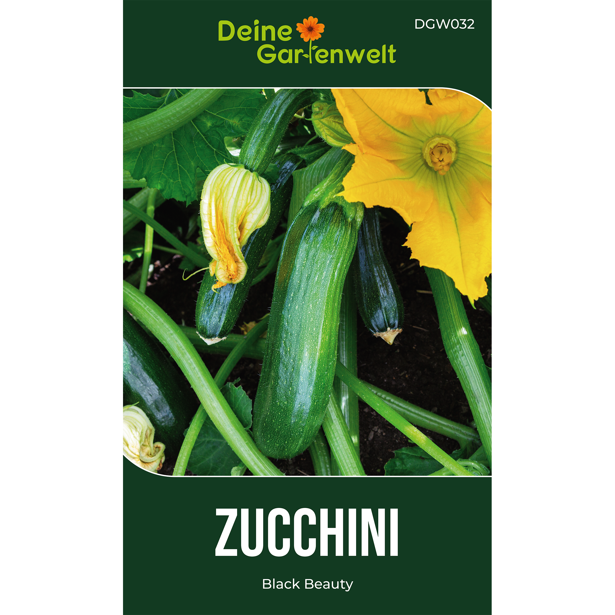 Zucchini Black Beauty