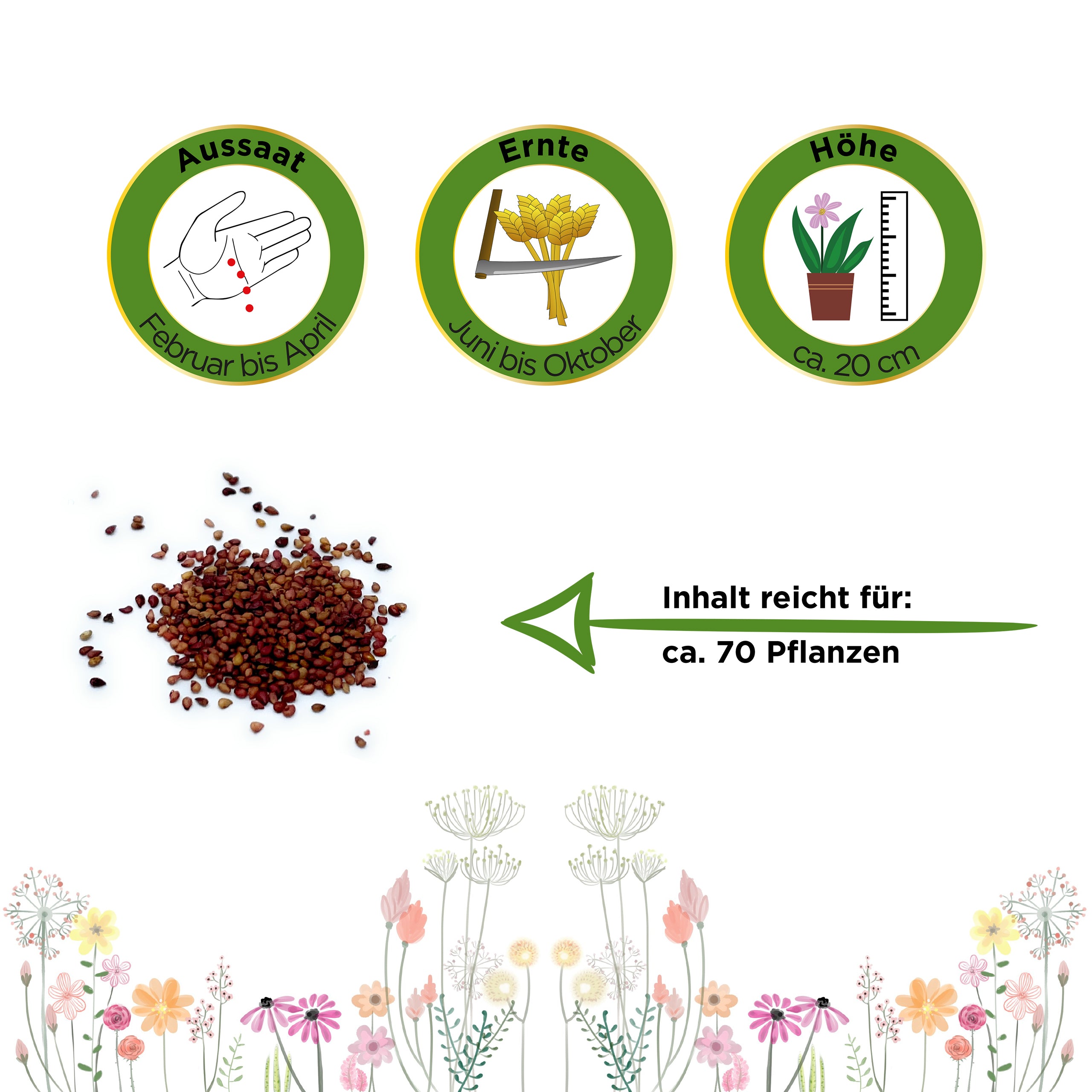 Monatserdbeeren Rügen