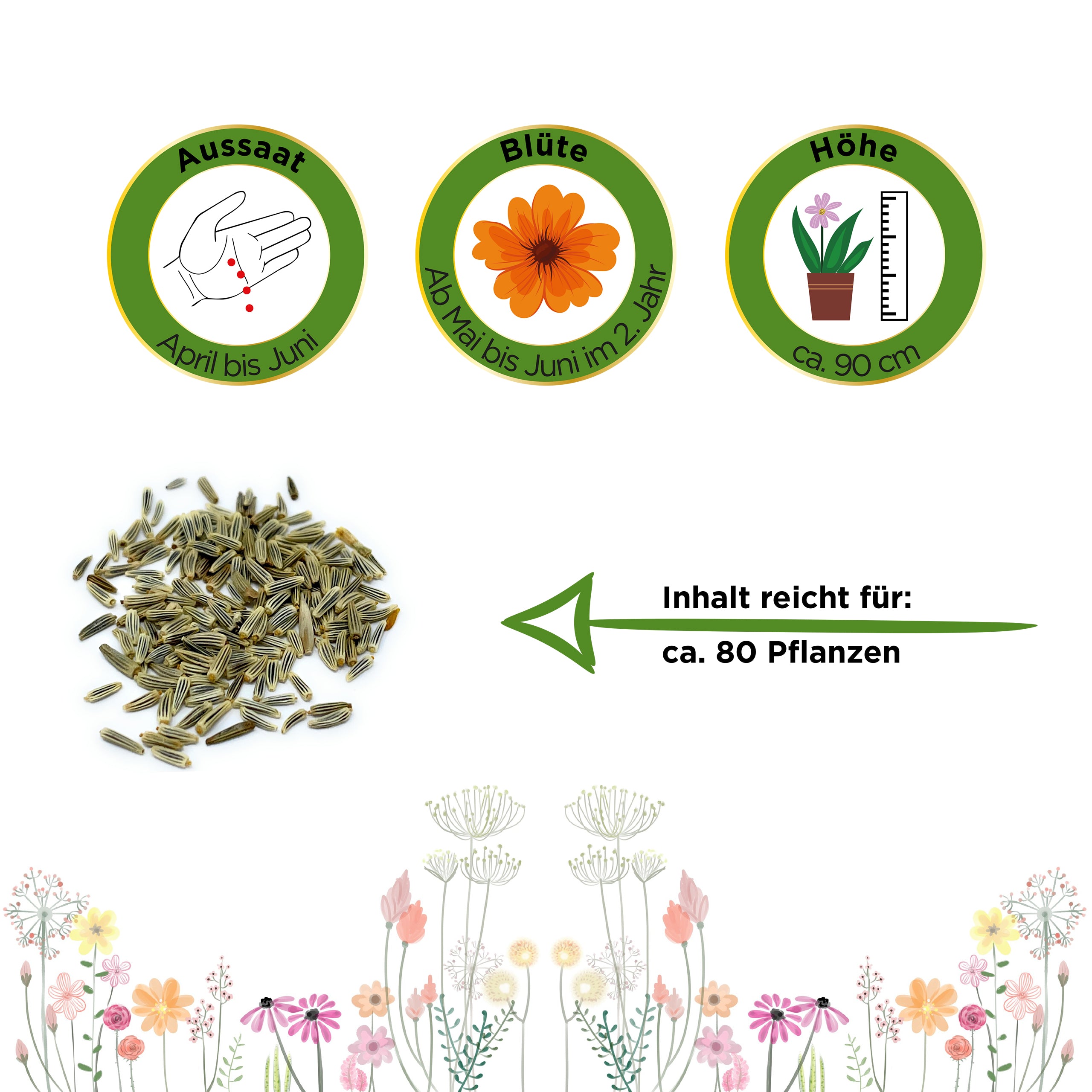 Margerite weiß