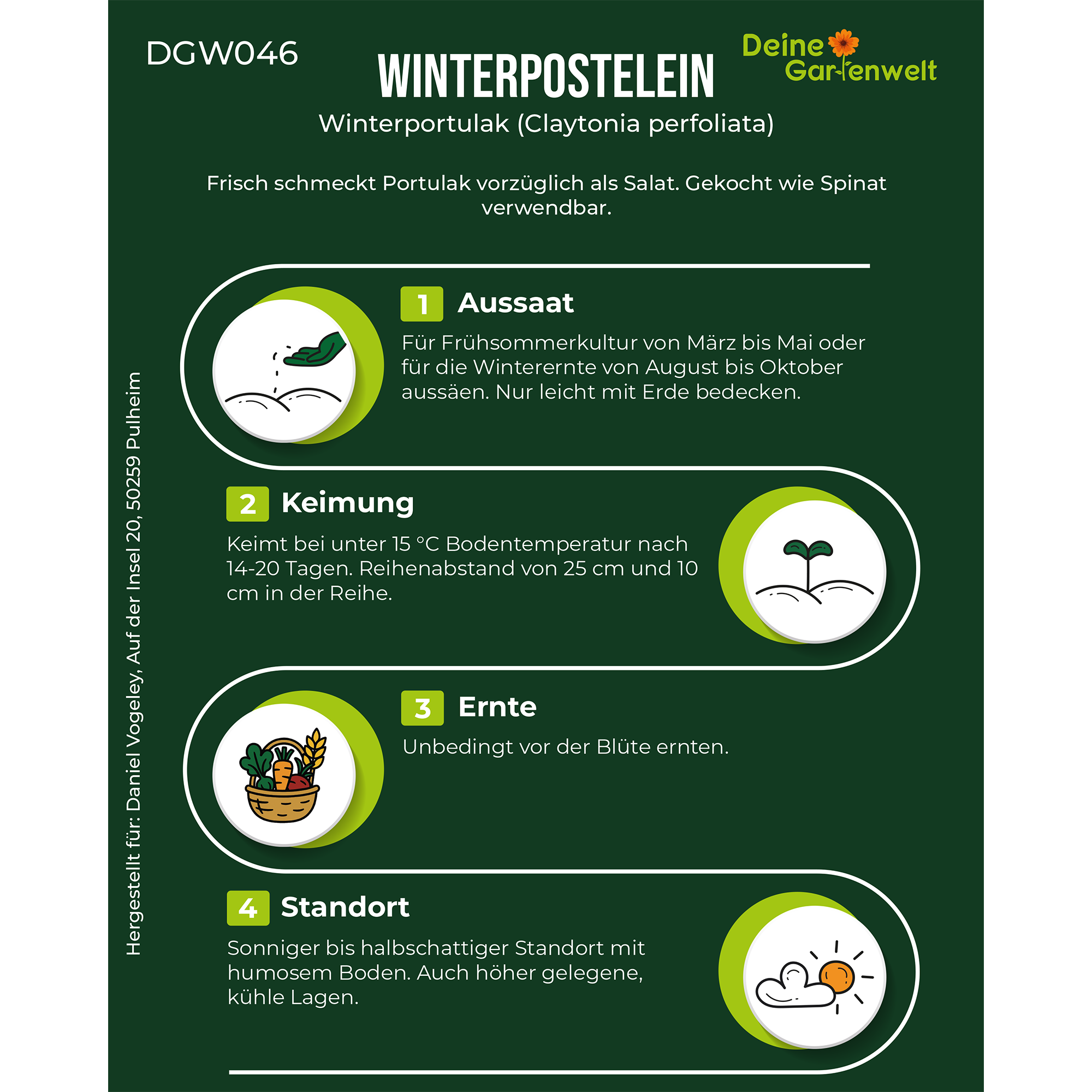 Winterpostelein Winterportulak