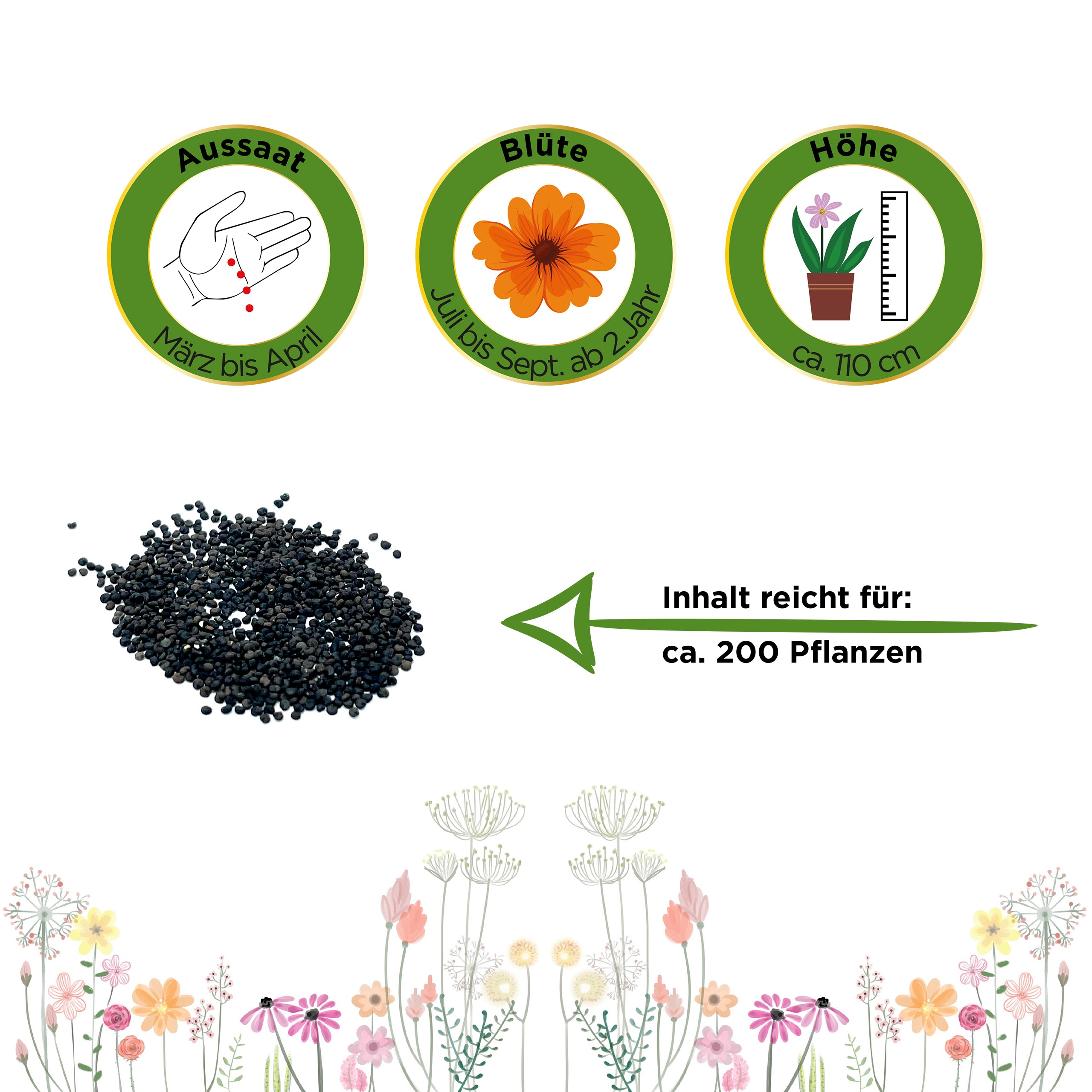 Stauden-Schleierkraut weiß