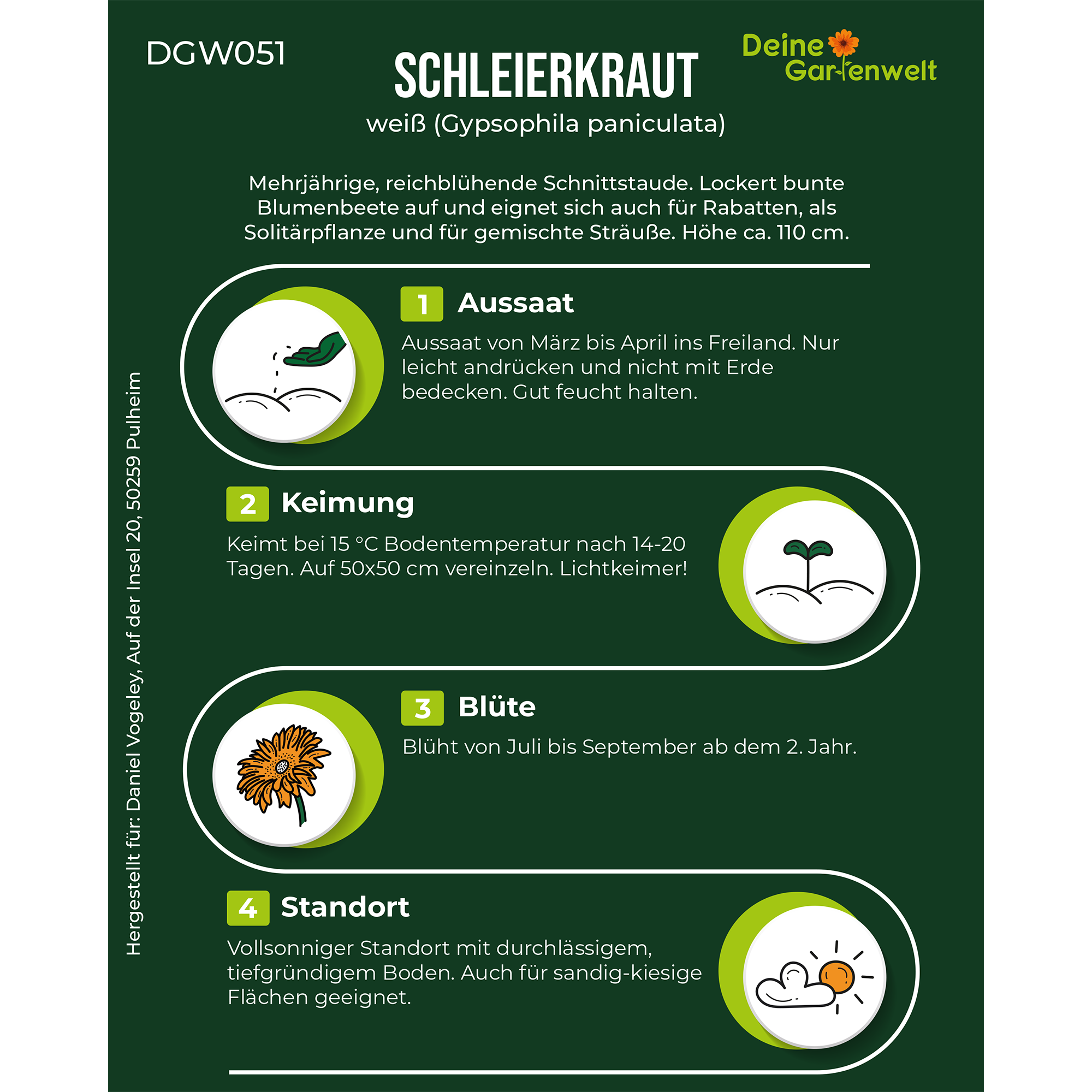 Stauden-Schleierkraut weiß