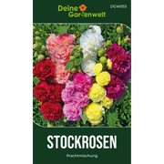 Stockrosen Prachtmischung