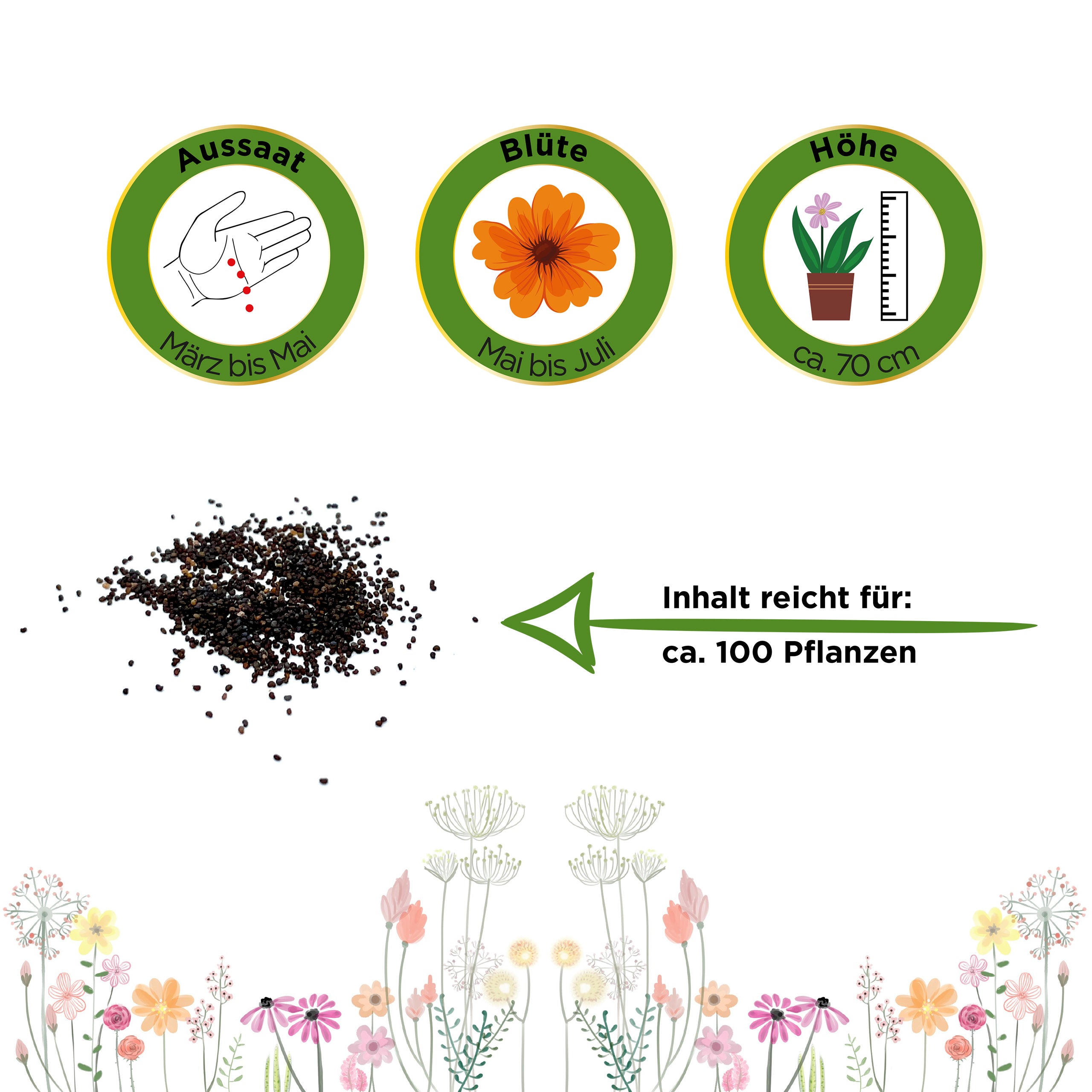 Klatsch-Mohn rot