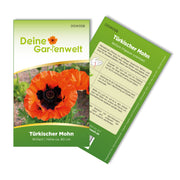 Türkischer Mohn
