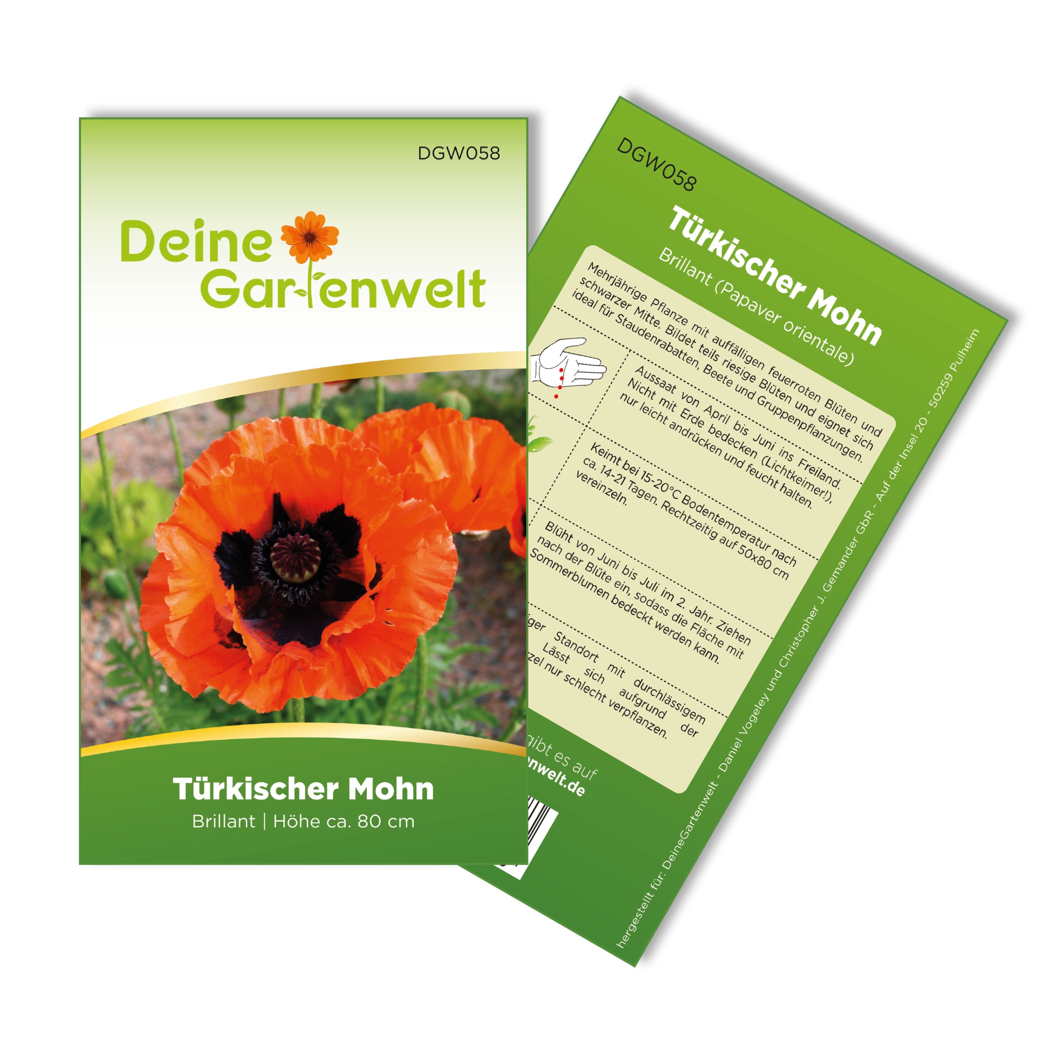 Türkischer Mohn