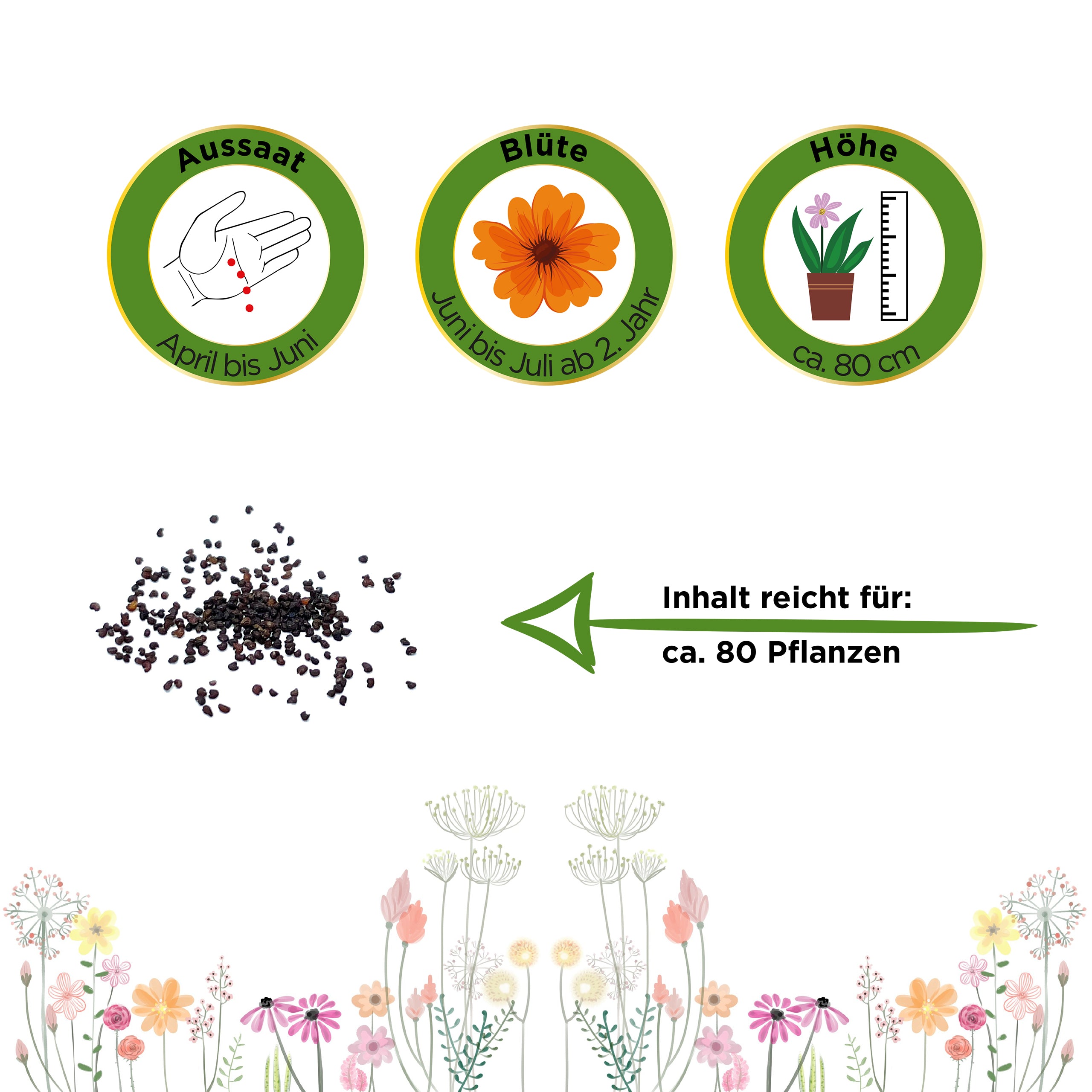 Türkischer Mohn
