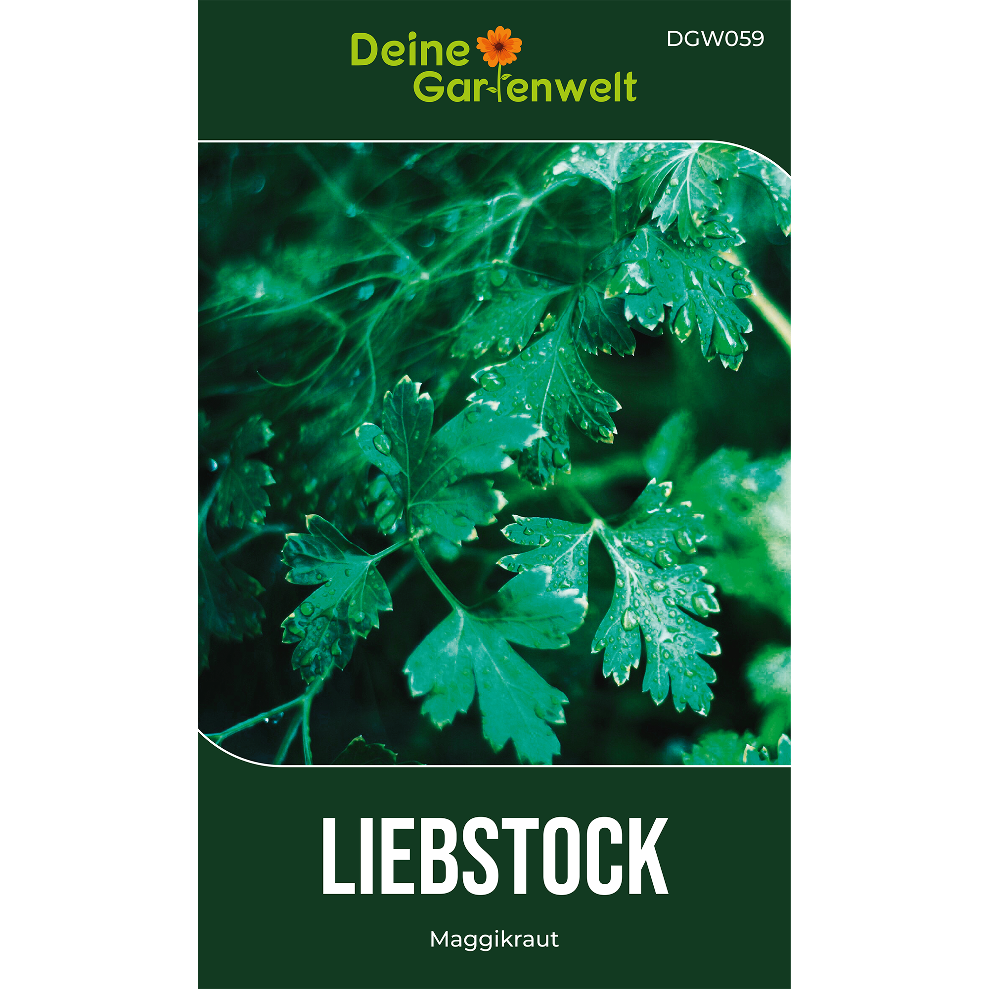Liebstöckel Maggikraut