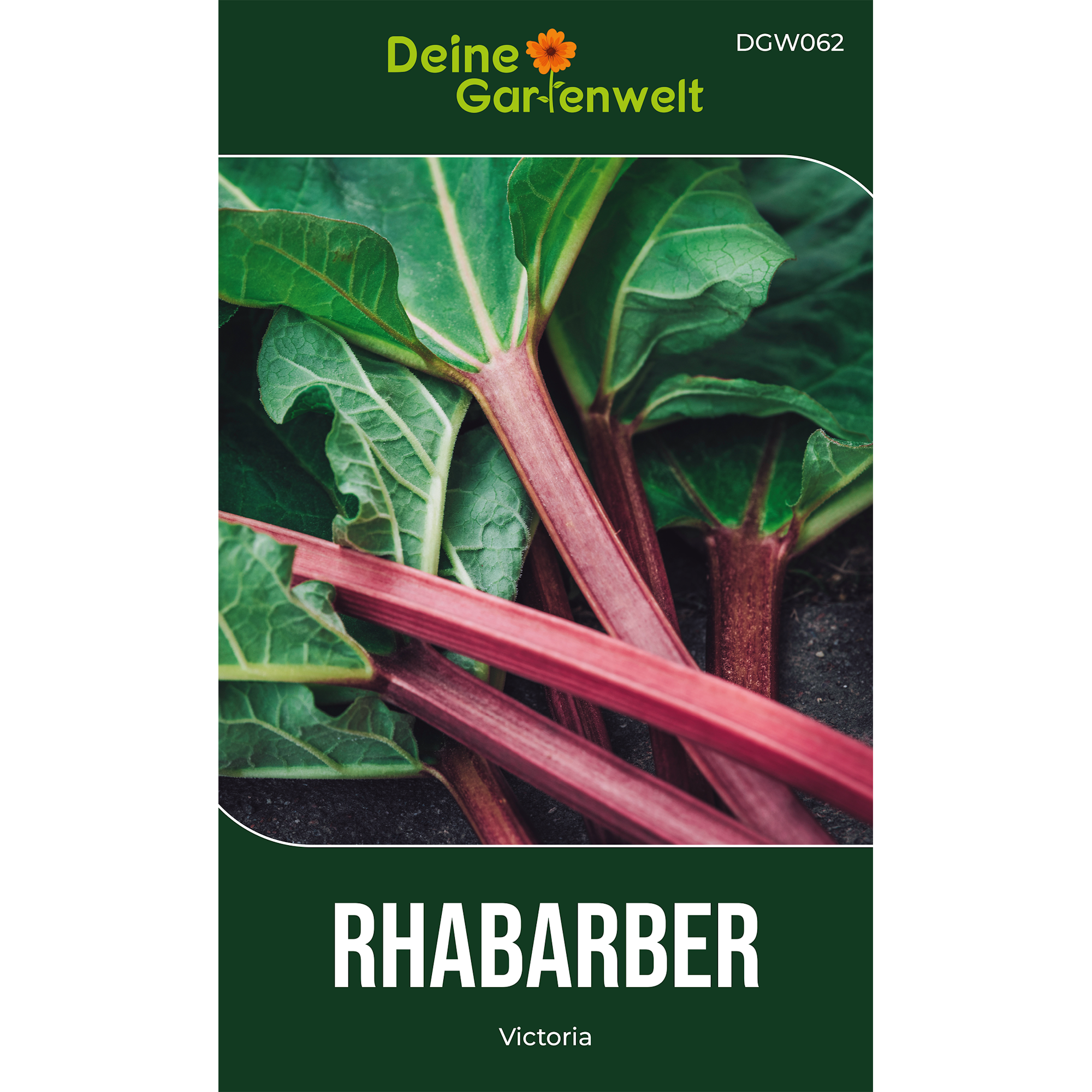Rhabarber rot