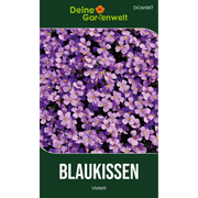 Blaukissen Violett
