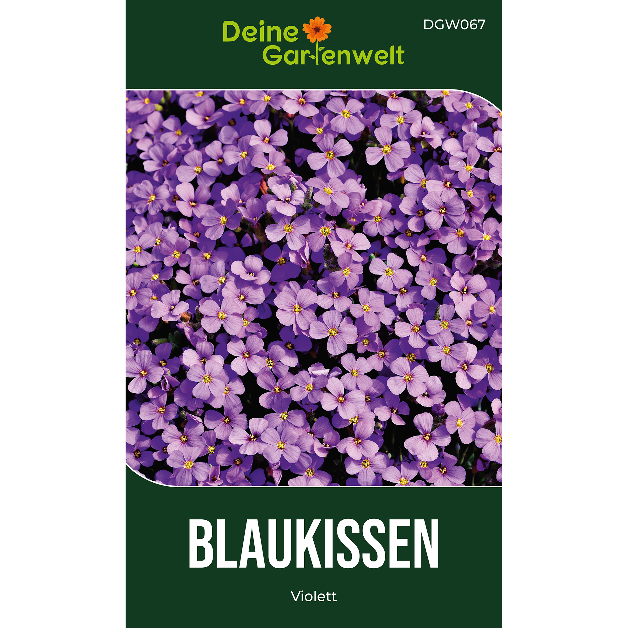 Blaukissen Violett