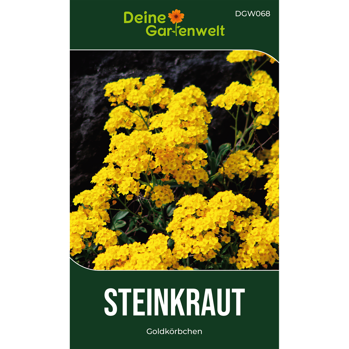 Steinkraut Goldkörbchen Saatgut
