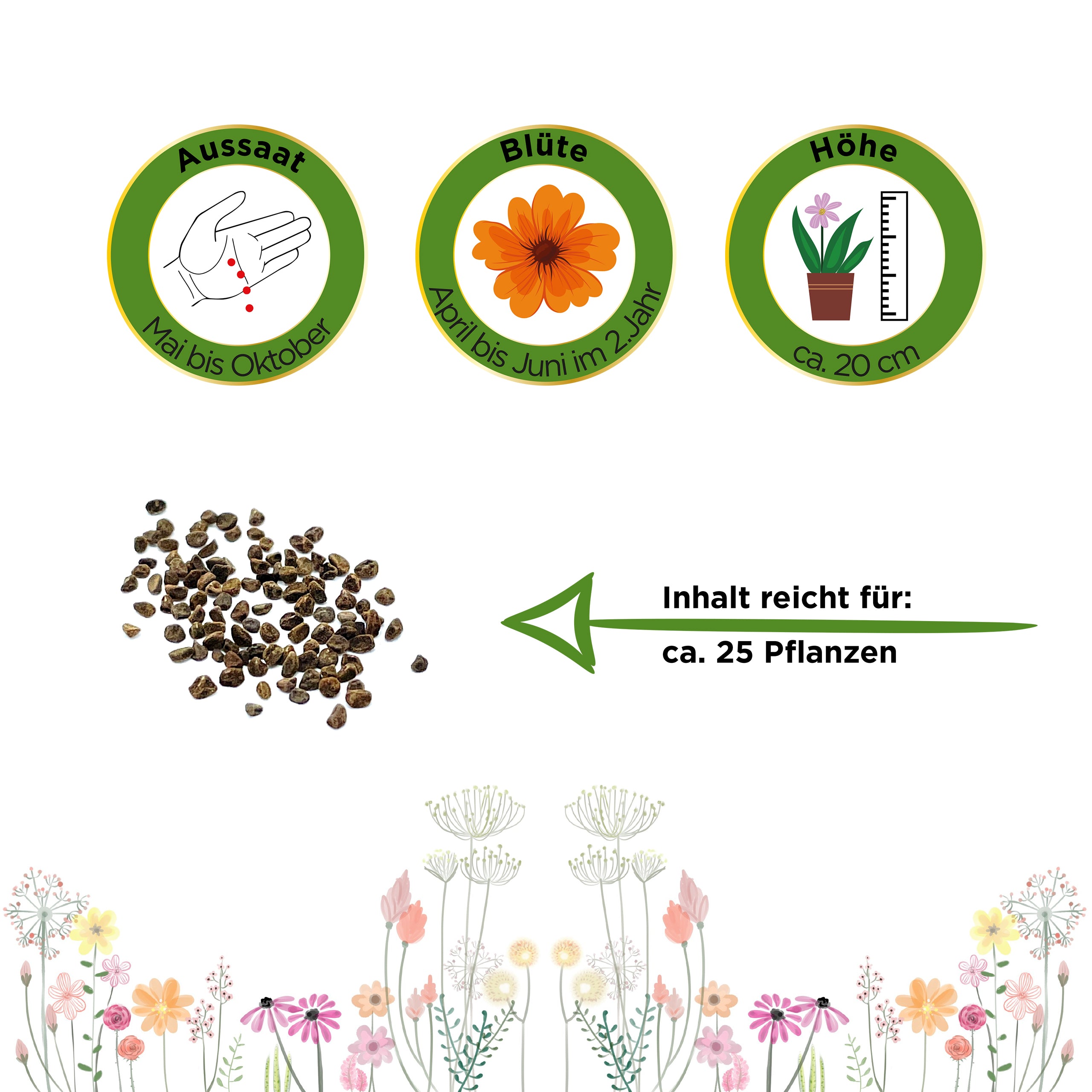 Wiesen-Schlüsselblume