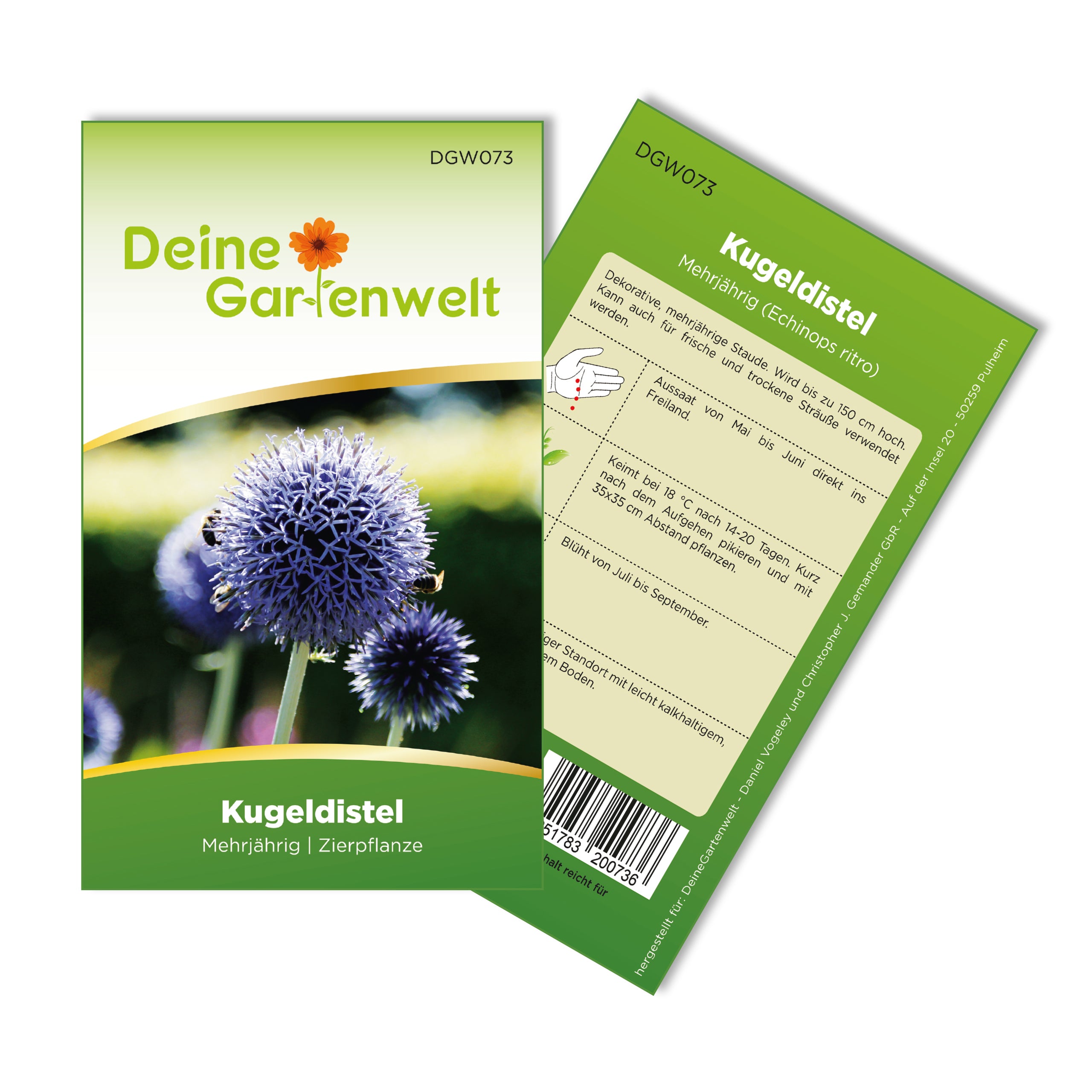 Kugeldistel