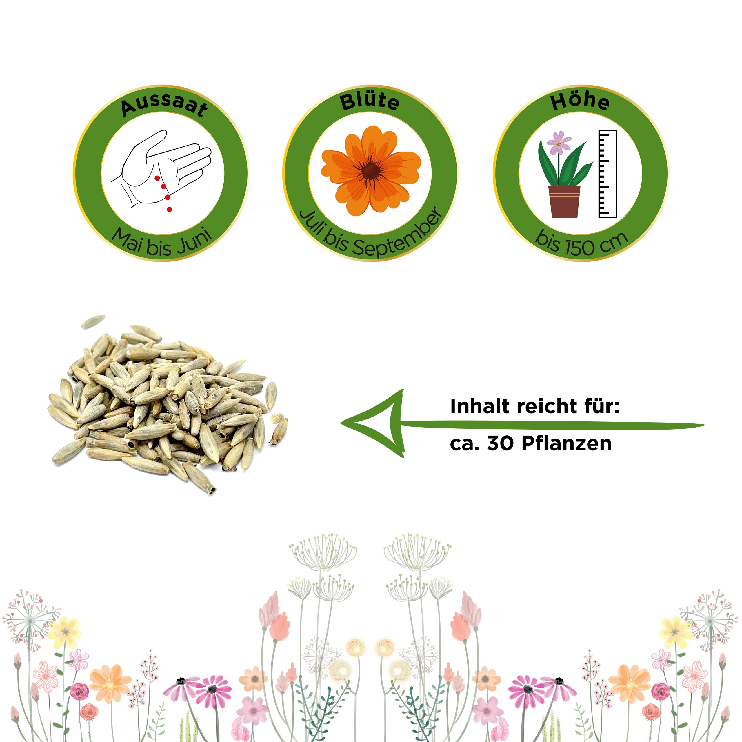 Kugeldistel