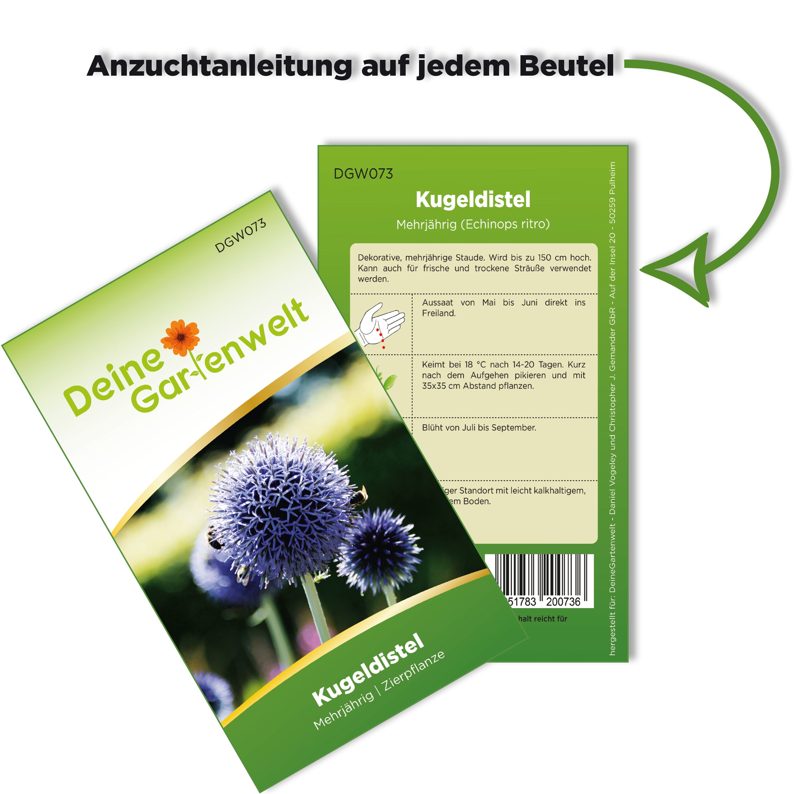 Kugeldistel