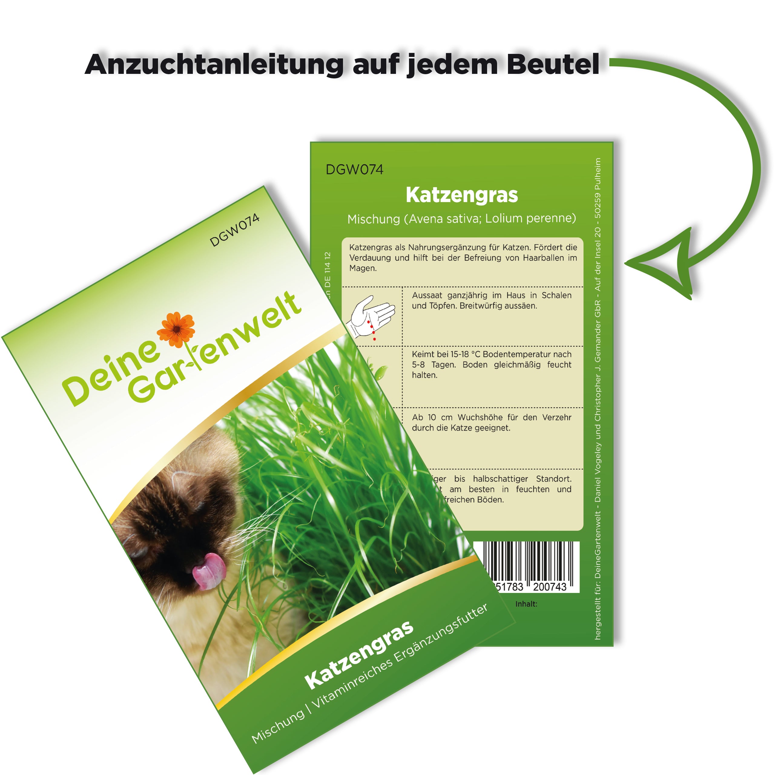 Katzengras Mischung