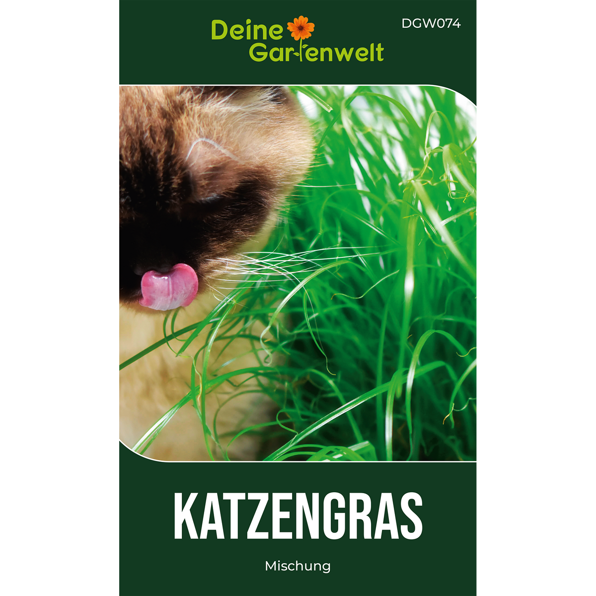 Katzengras Mischung Saatgut