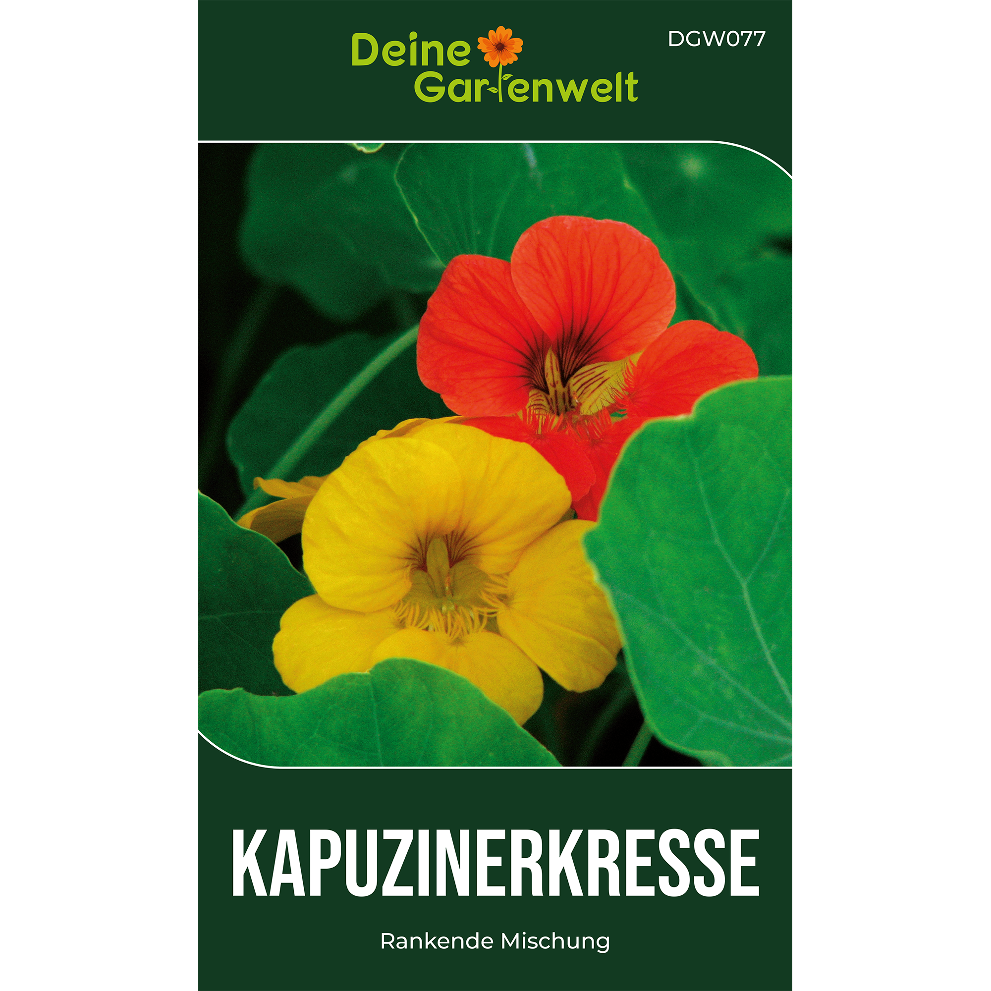 Kapuzinerkresse Rankende Mischung