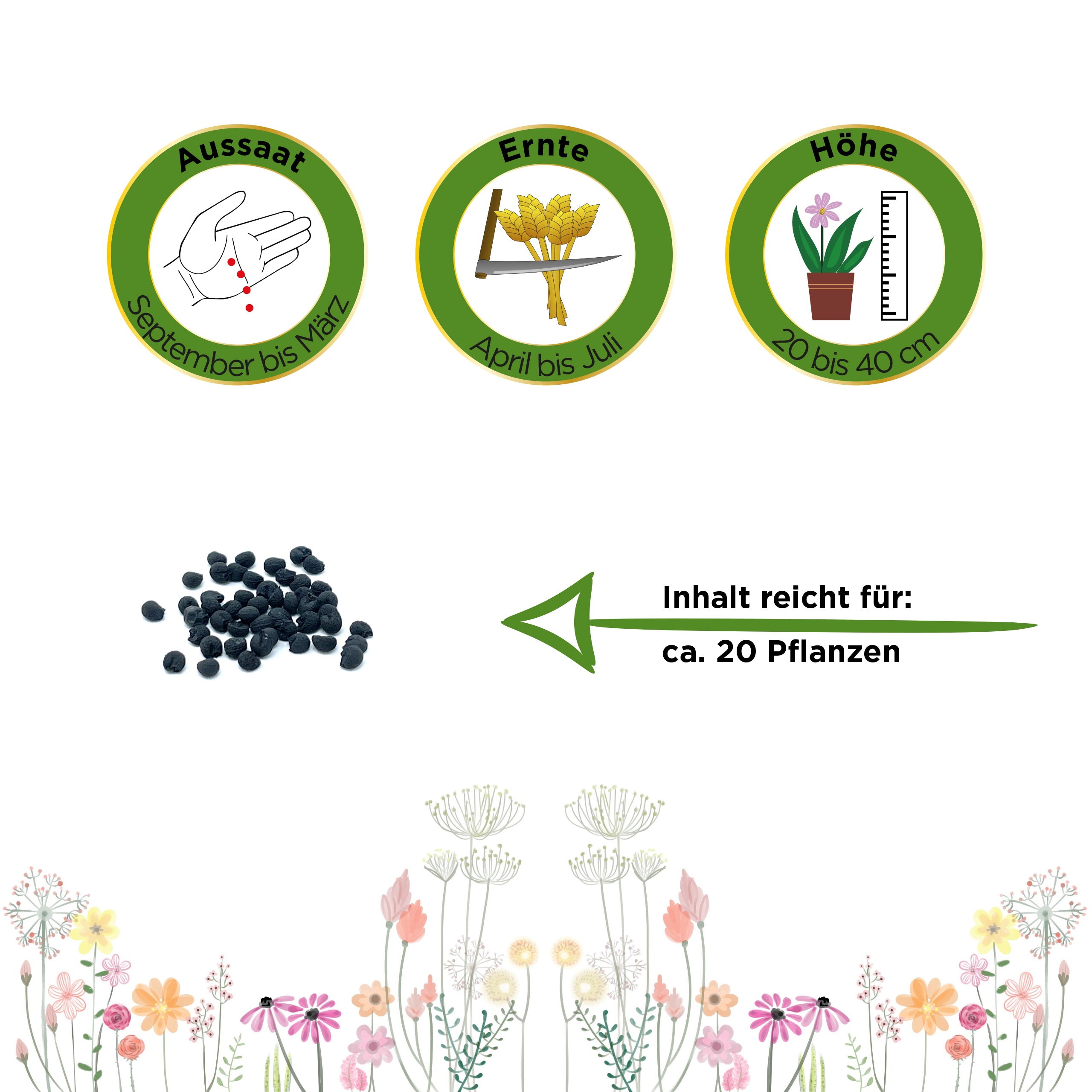 Bärlauch