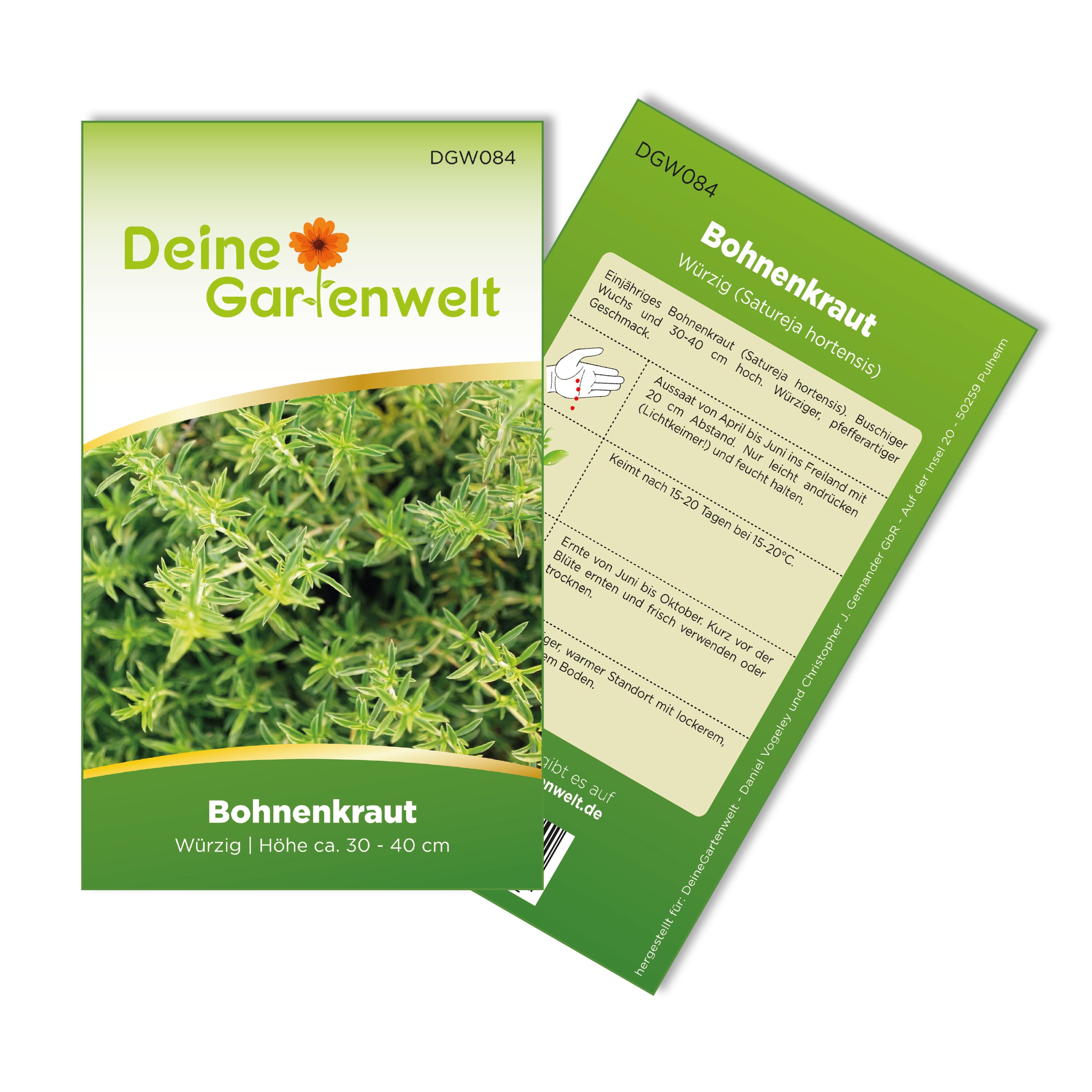 Bohnenkraut