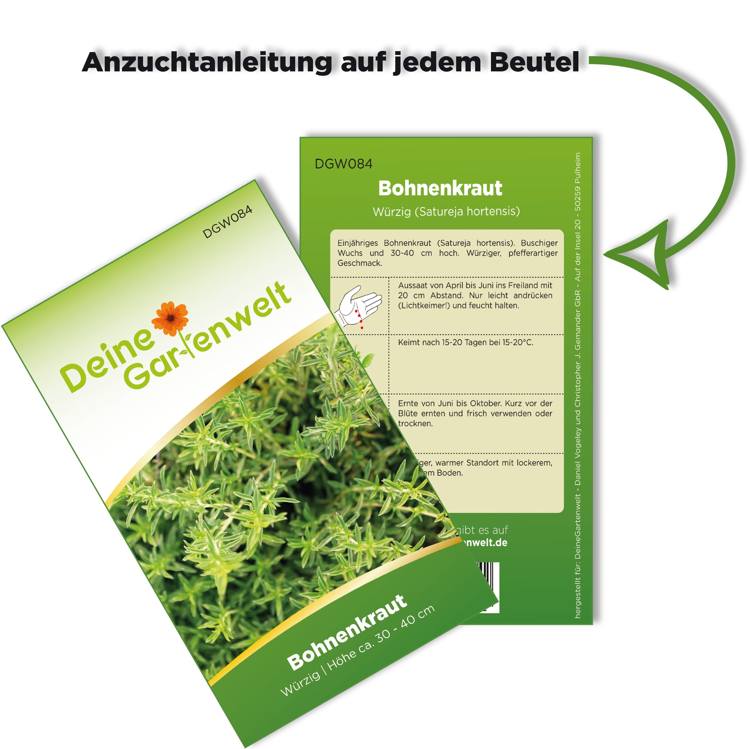 Bohnenkraut