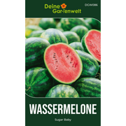 Wassermelonen Sugar Baby