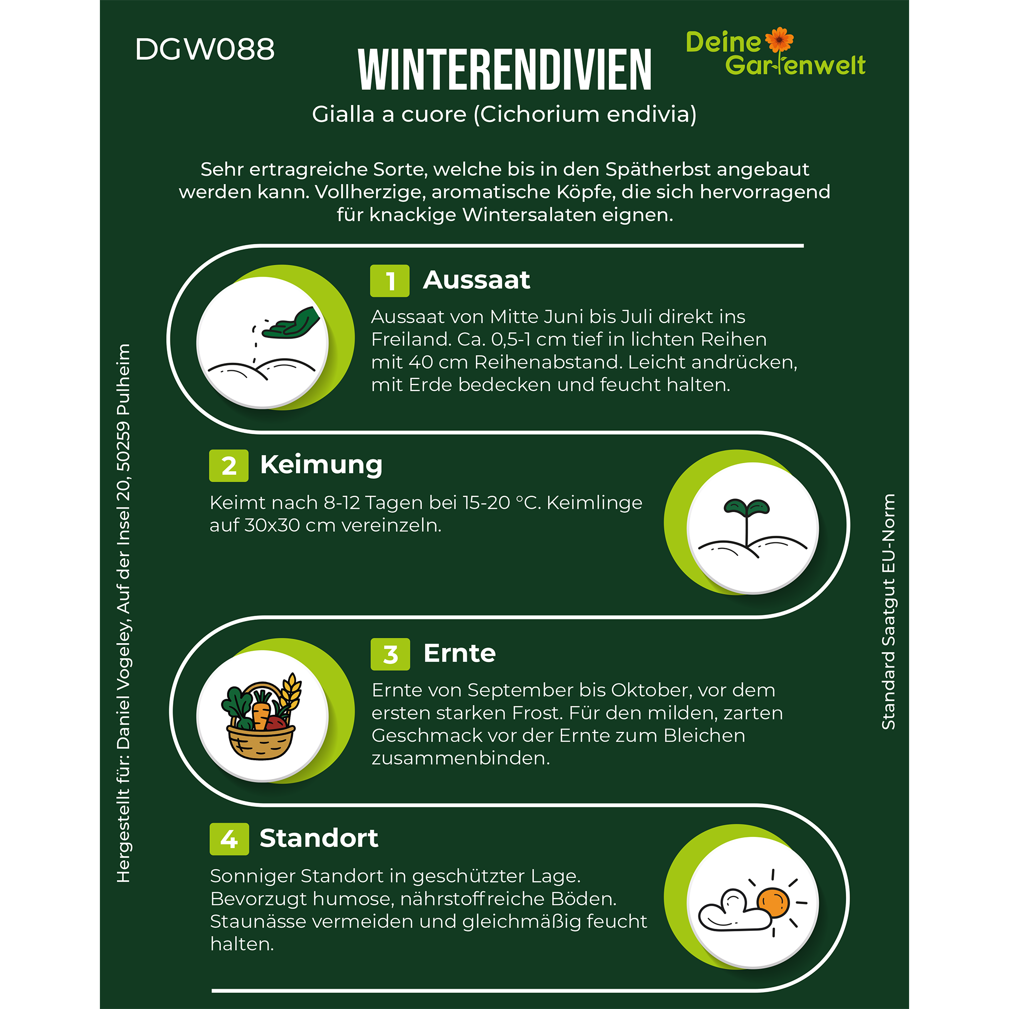 Winterendivien Gialla a cuore