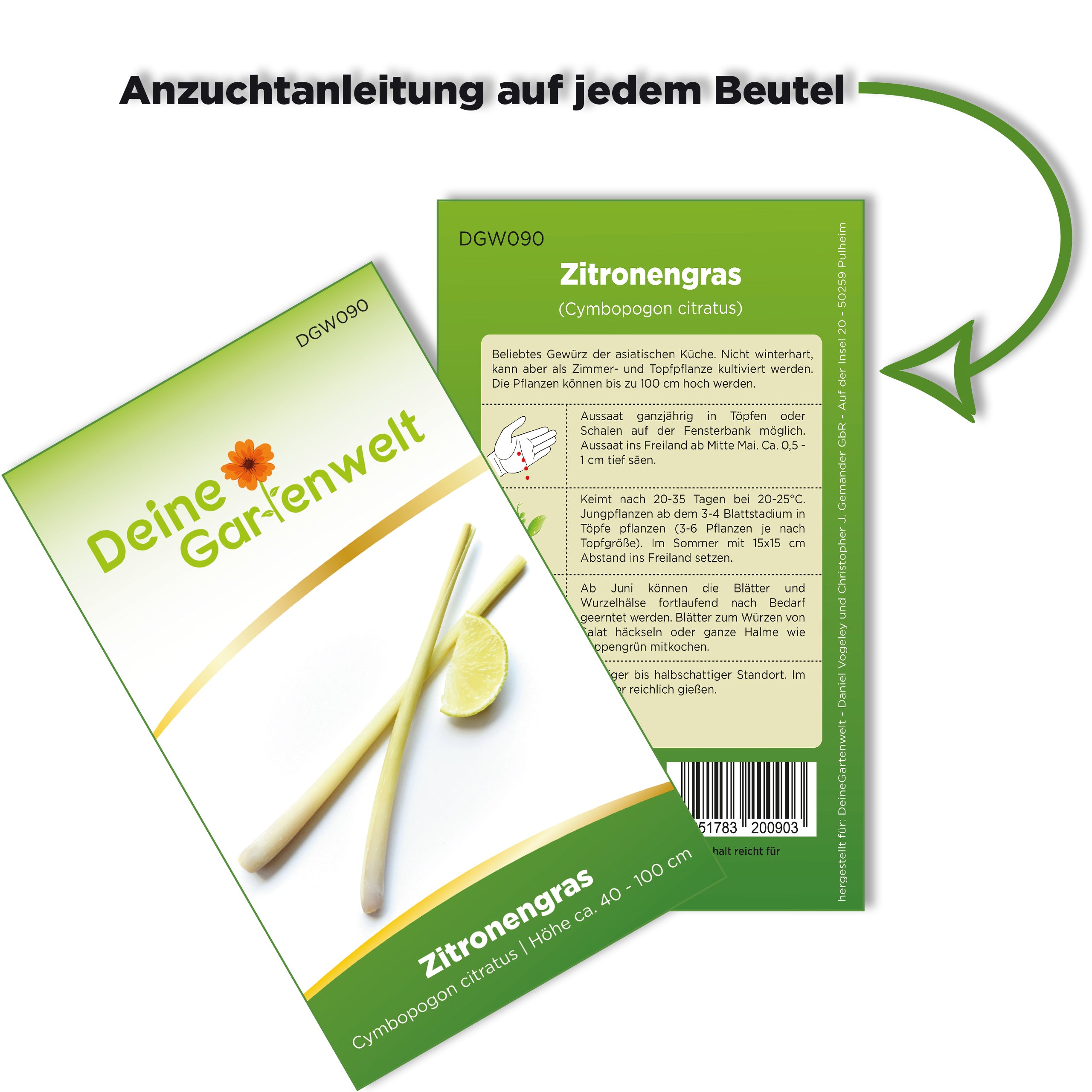 Zitronengras